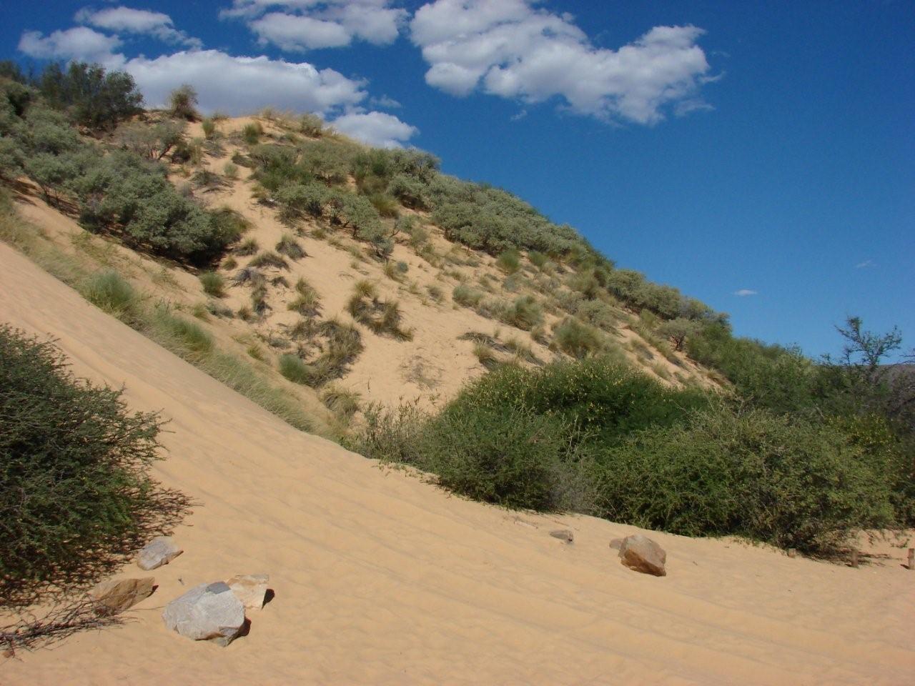 White roaring dune.