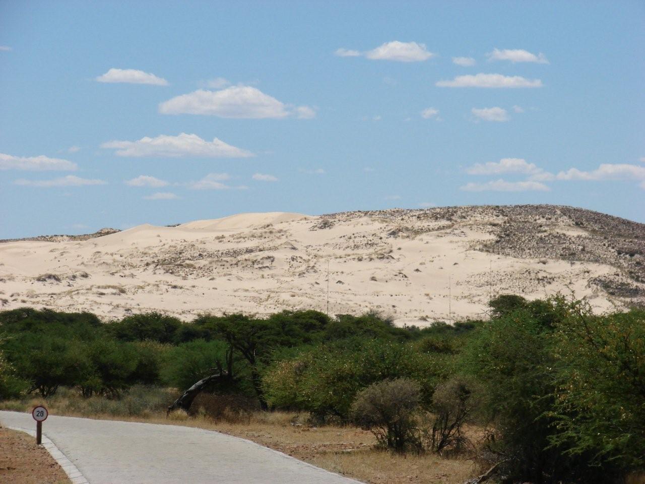 Witsand