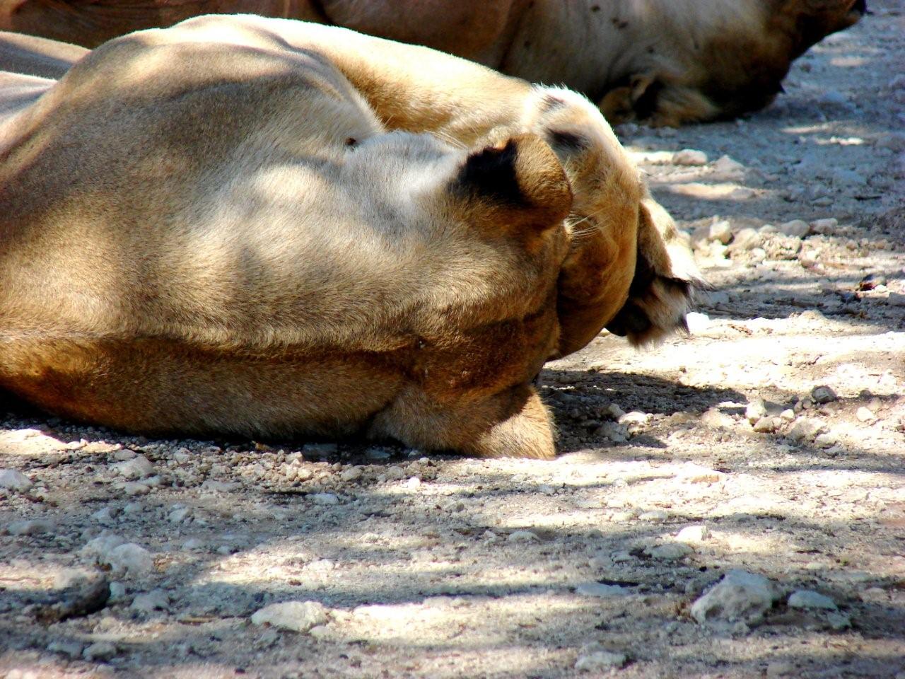 Kwang waterhole