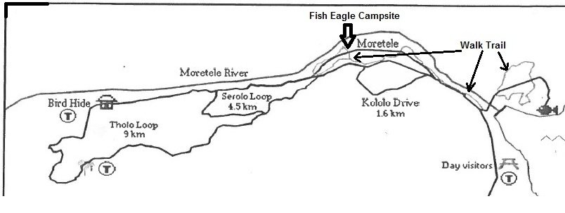 Fops Campsite.jpg