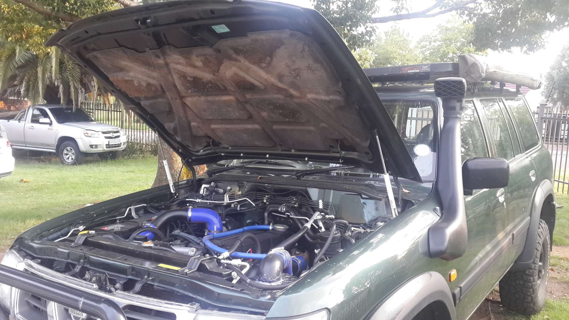 Bonnet_Shocks-1900.jpg