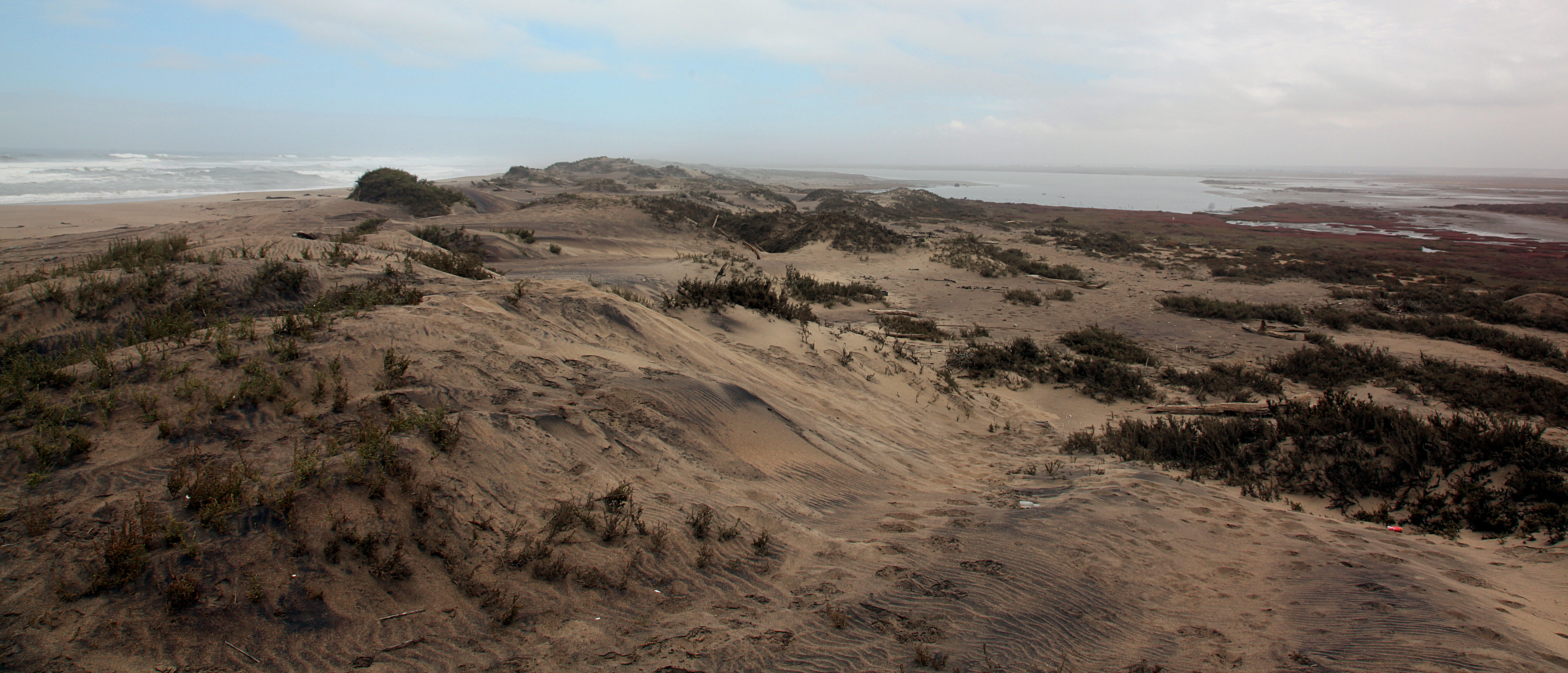 Alexanderbaai 5.jpg