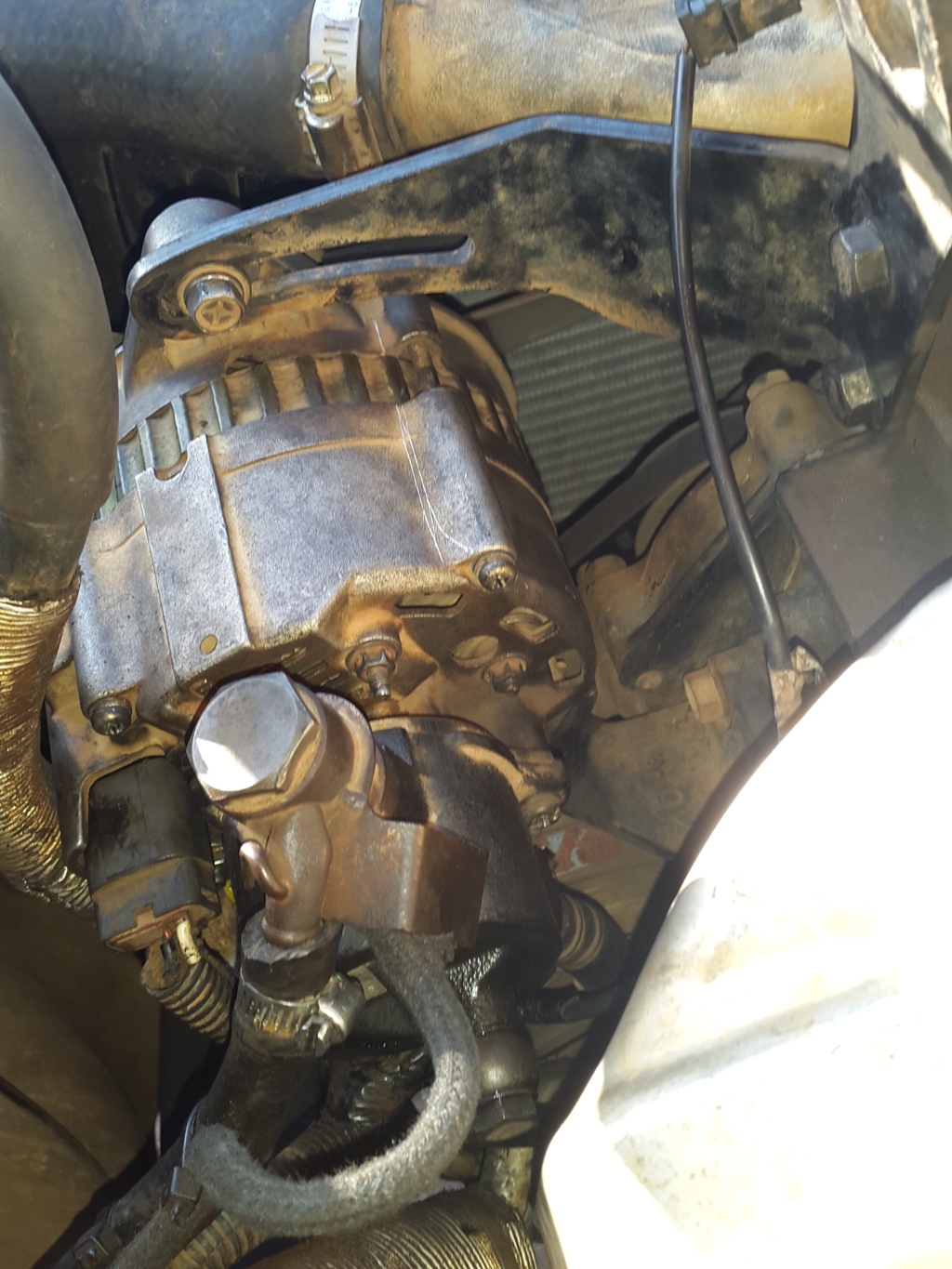 20150320_072154 (FILEminimizer).jpg
