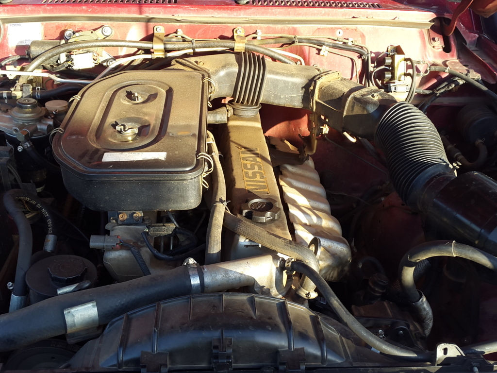 20150320_071910 (FILEminimizer).jpg
