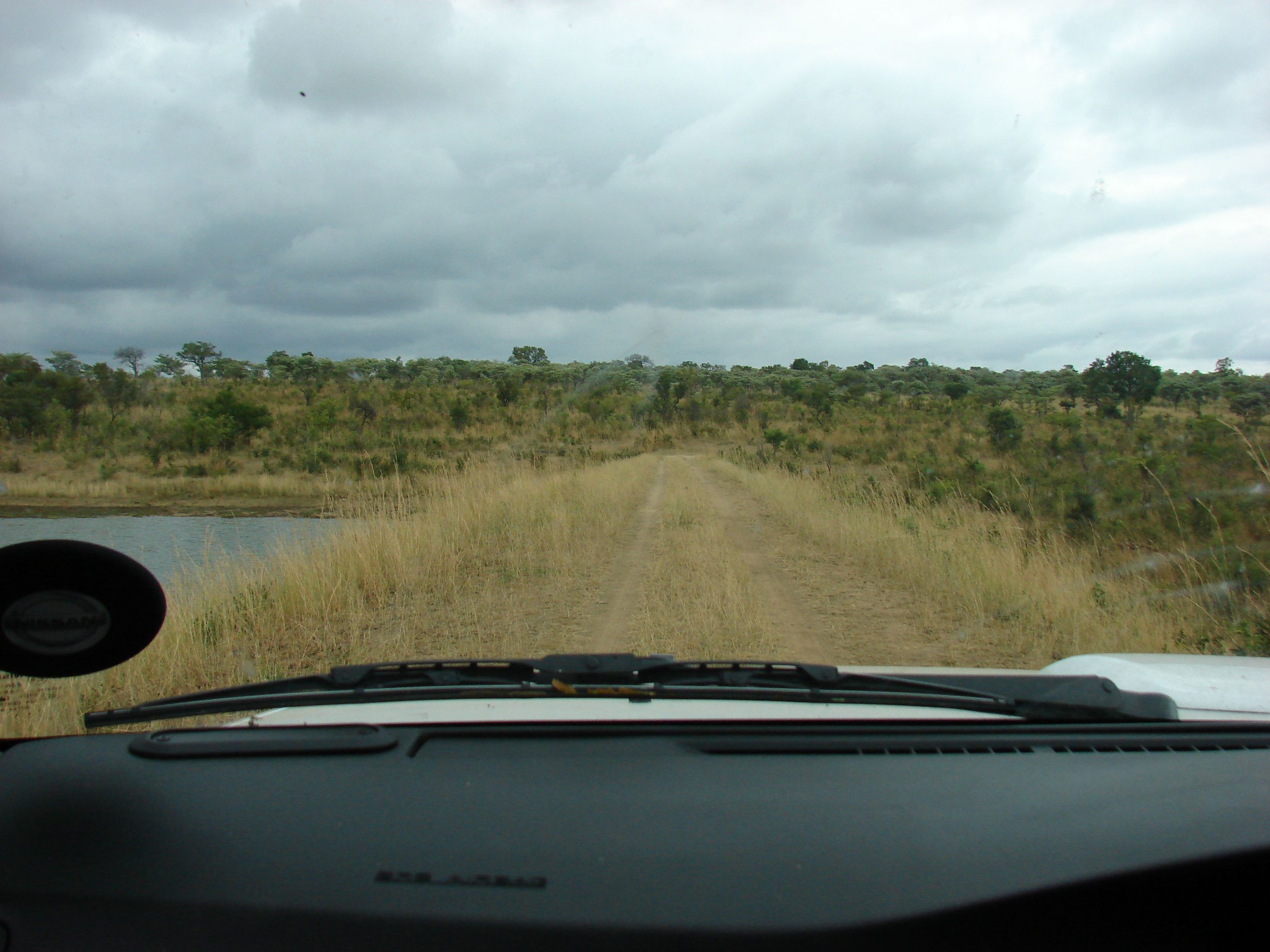 kruger maart 2015 t 243.JPG
