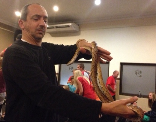 AmericanCornSnake.jpg