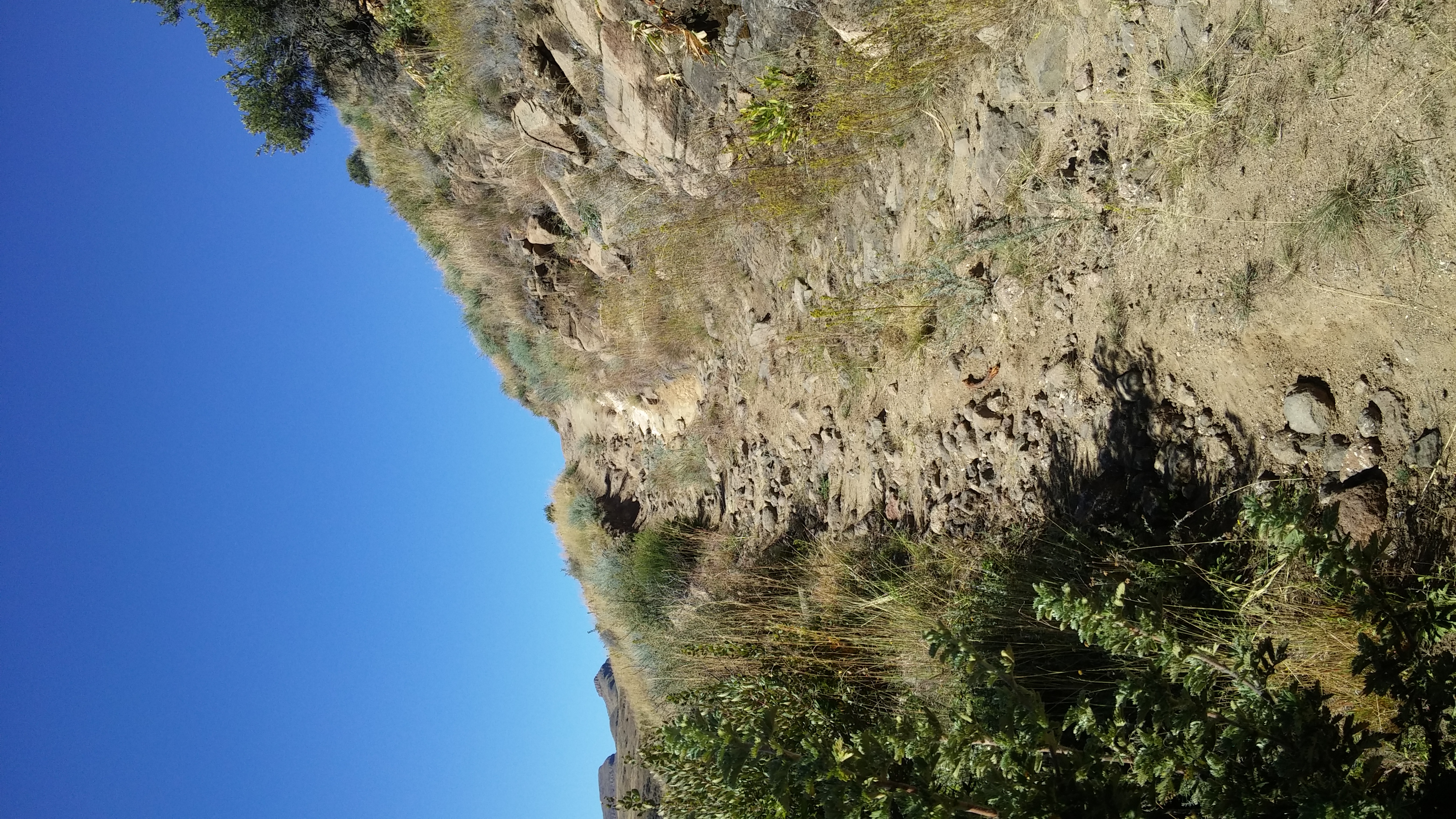 20150501_124408.jpg