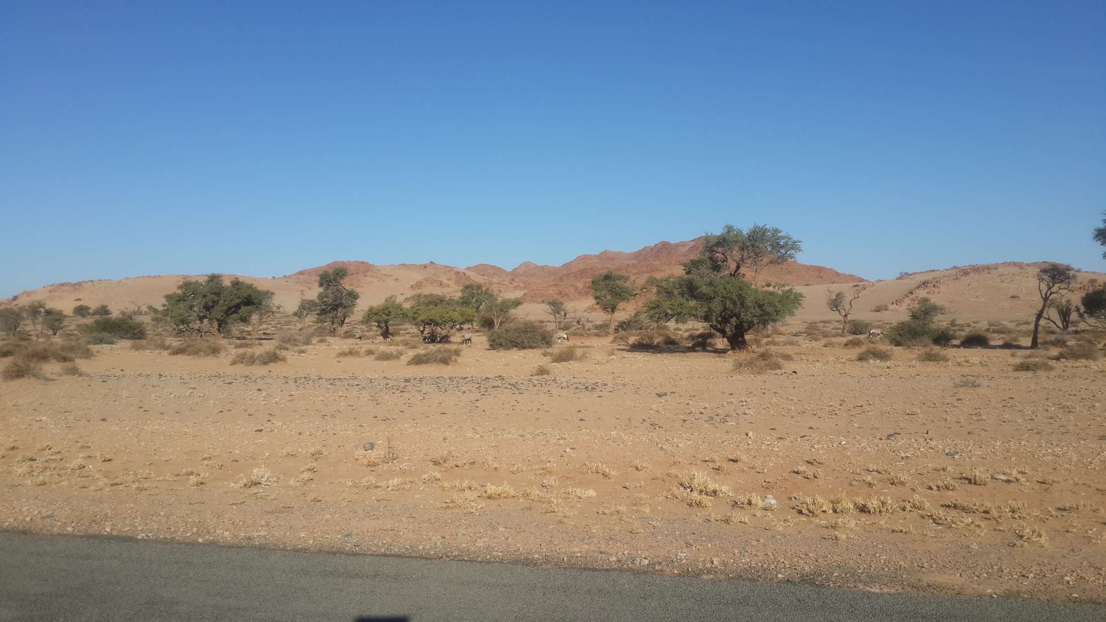 Sossus Vlei