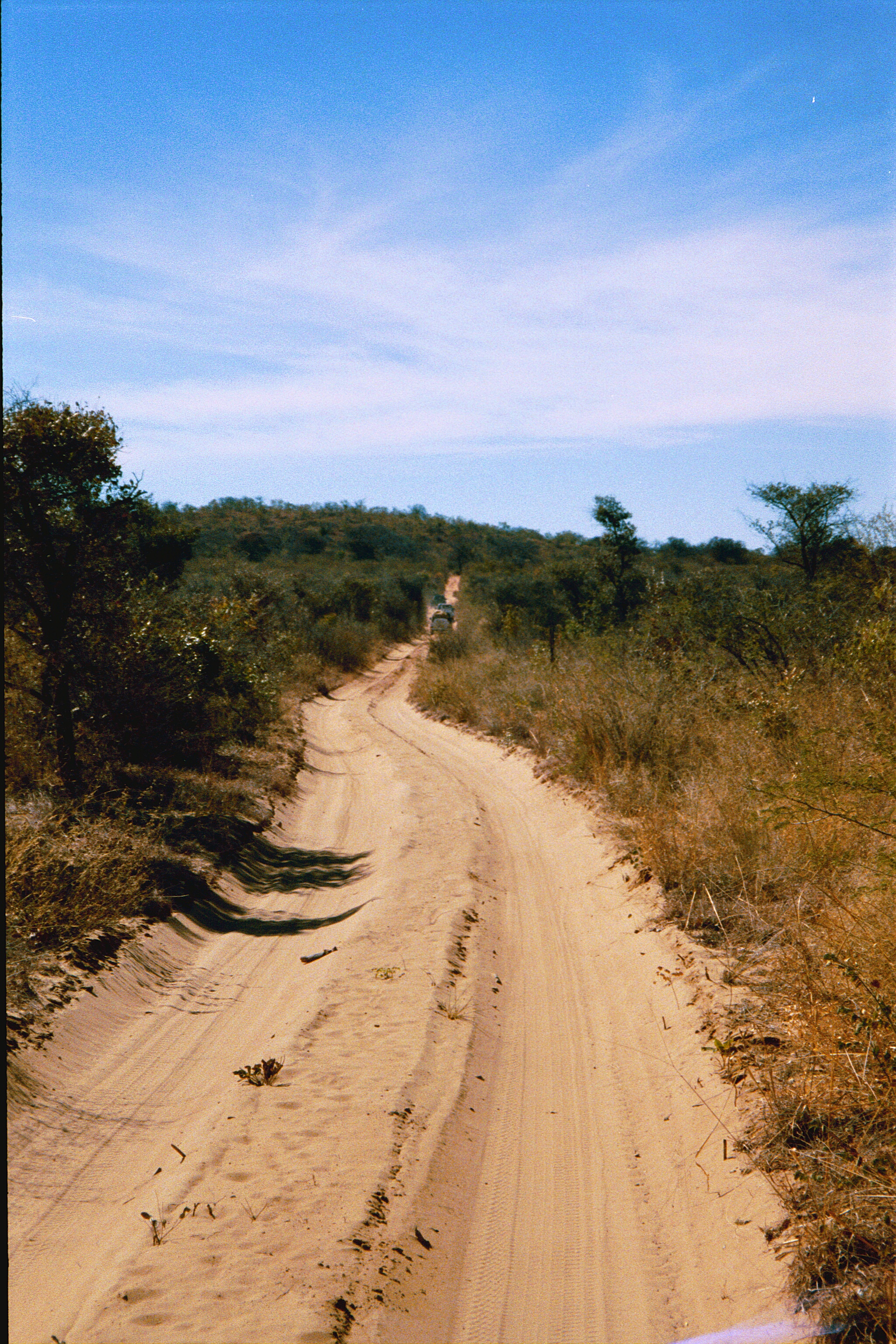 DX-097.jpg