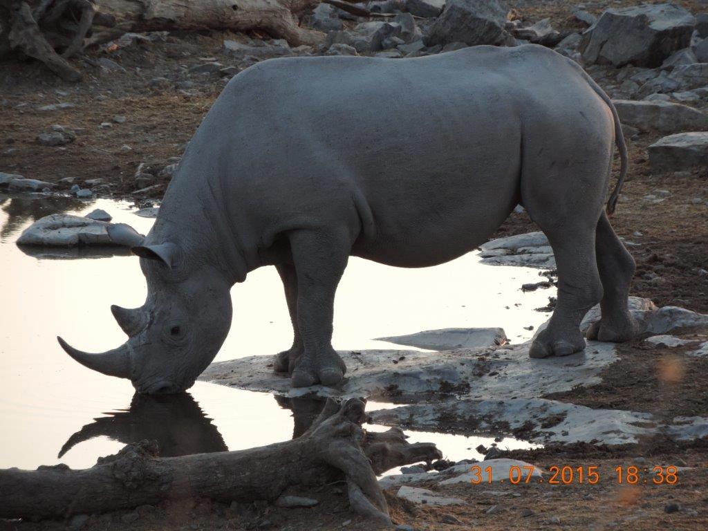 Etosha-Okaukeujo-Halali-Namutoni 110.jpg