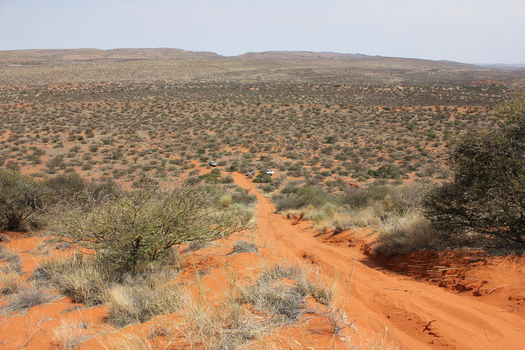 The second last dune - view from the top