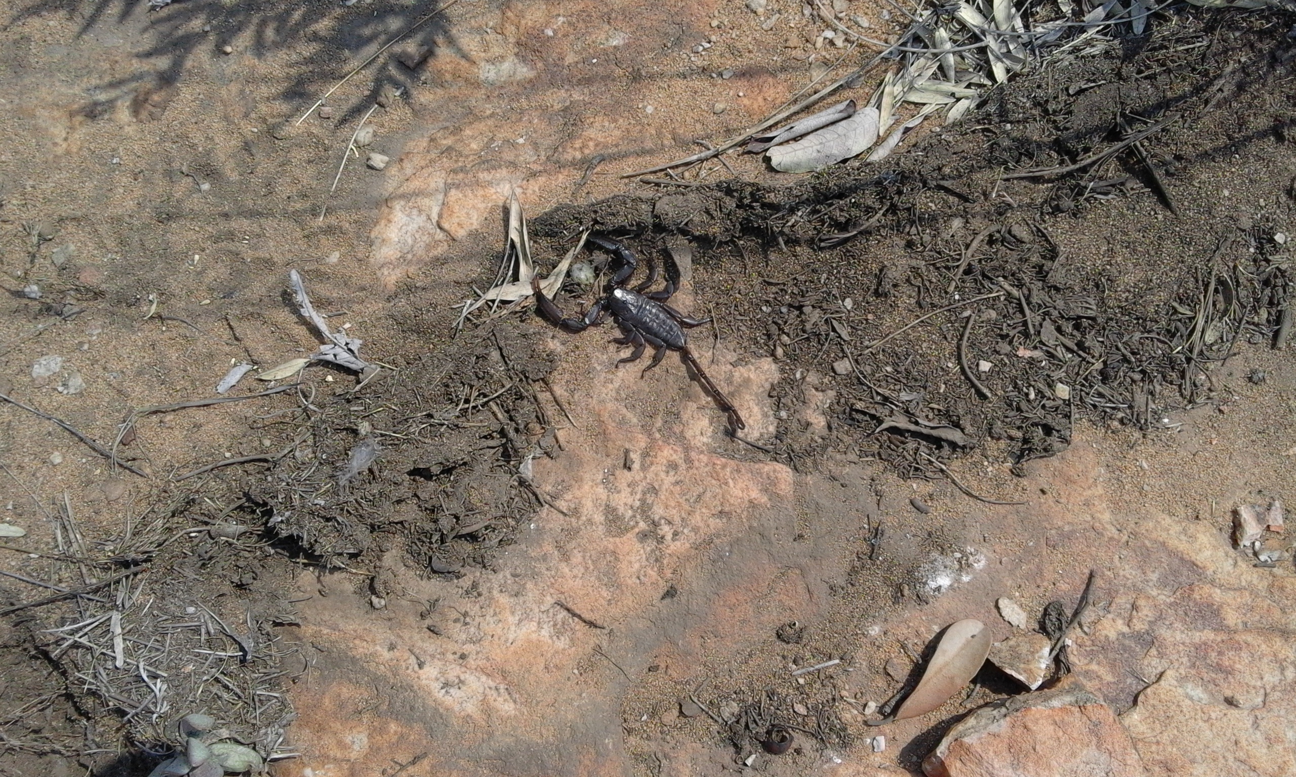 We saw some of the natural inhabitants as well...