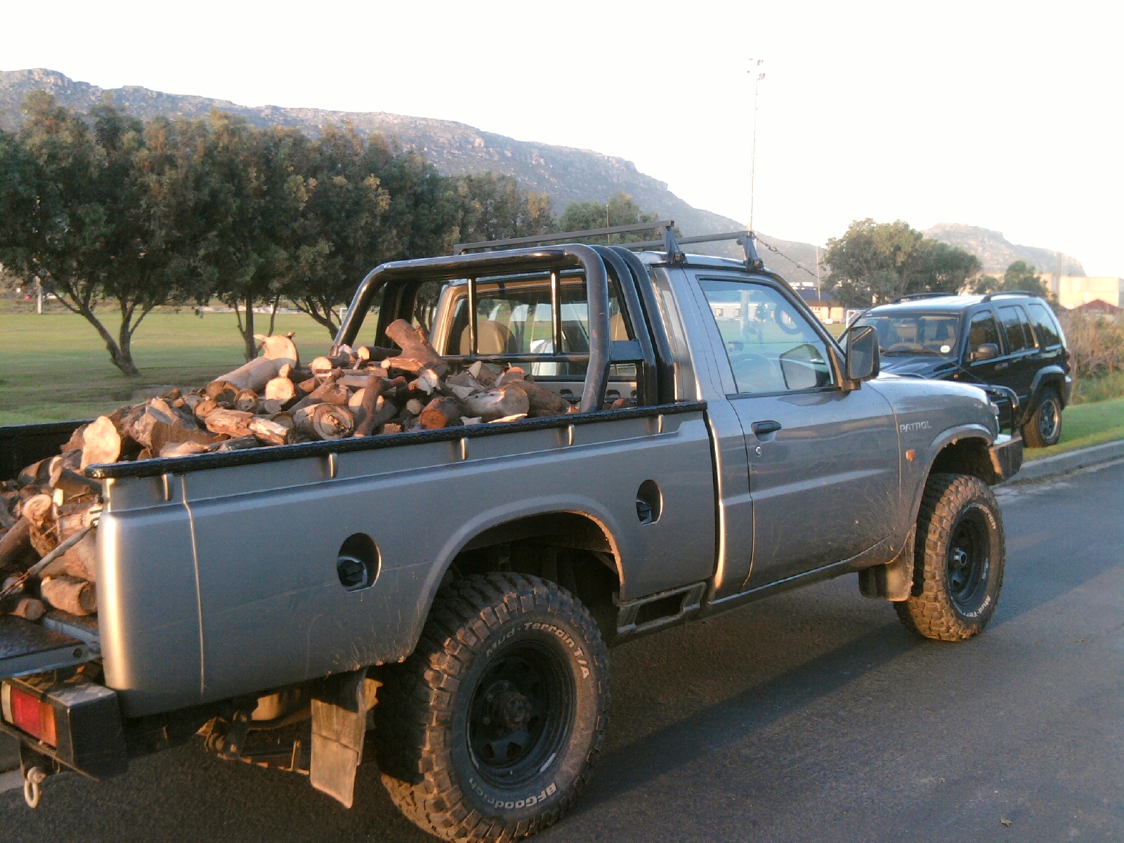 Didn't even flinch with this load of freshly cut soggy fire wood