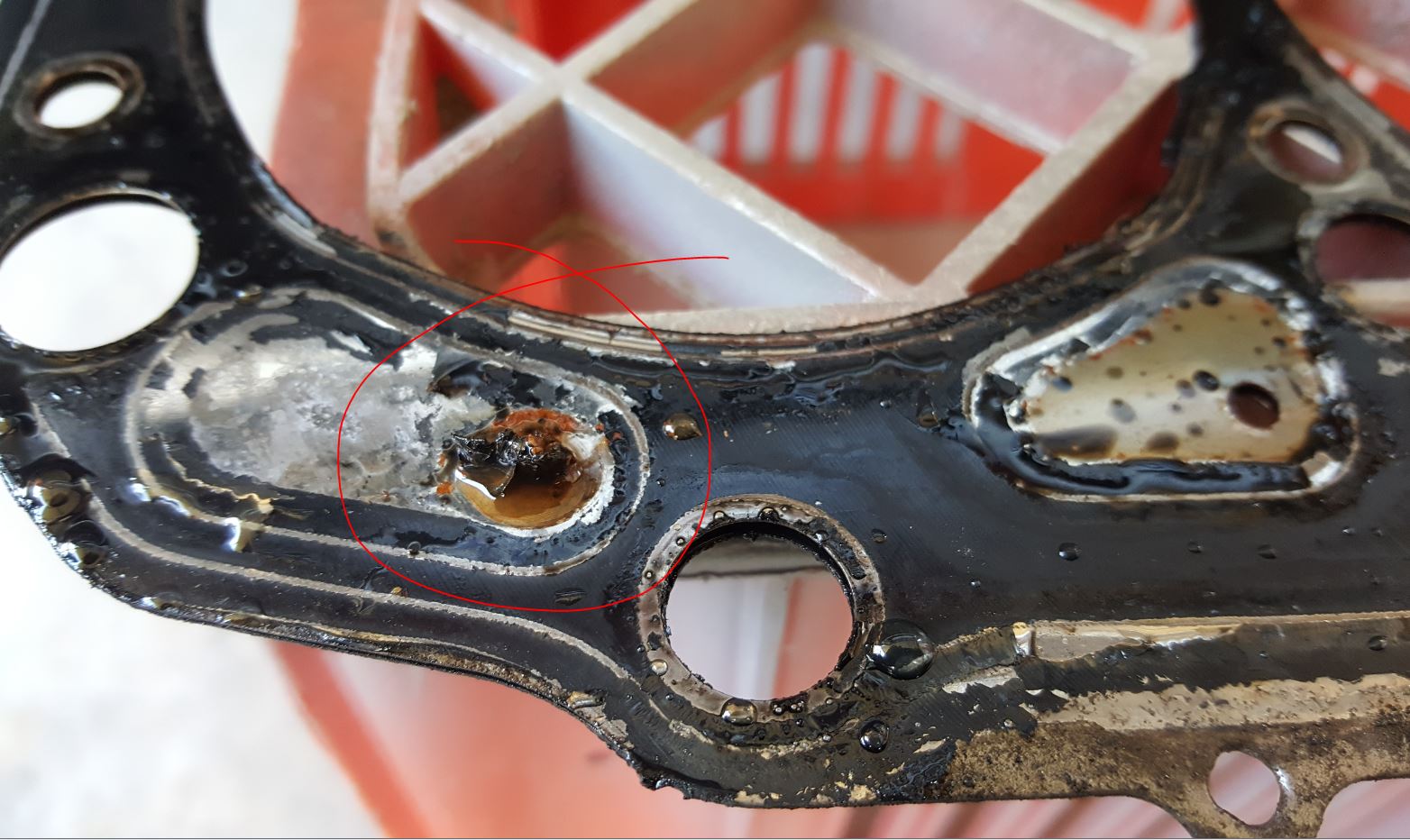 Head Gasket 1.JPG