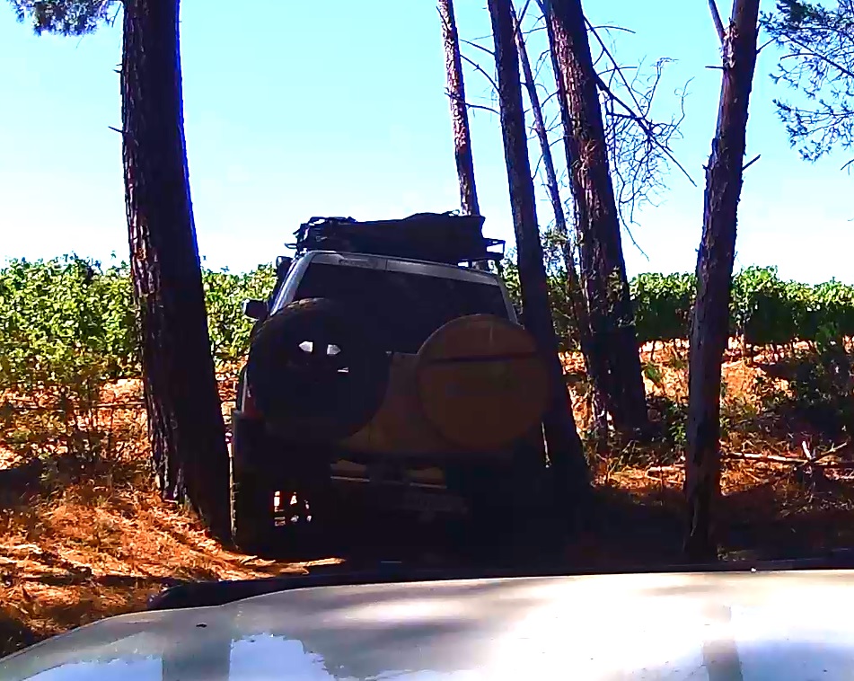 Tight fit - The space between the trees are just about as wide as a Patrol
