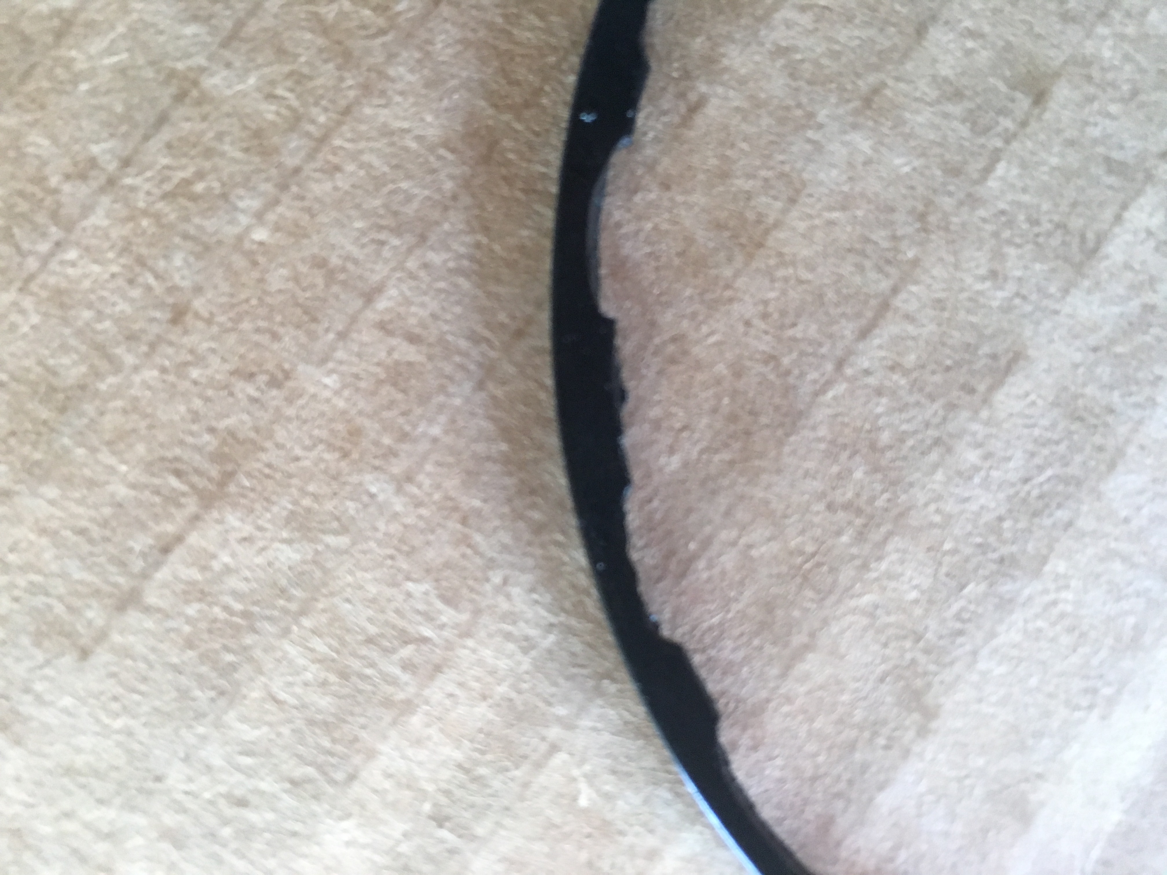 Perished seal