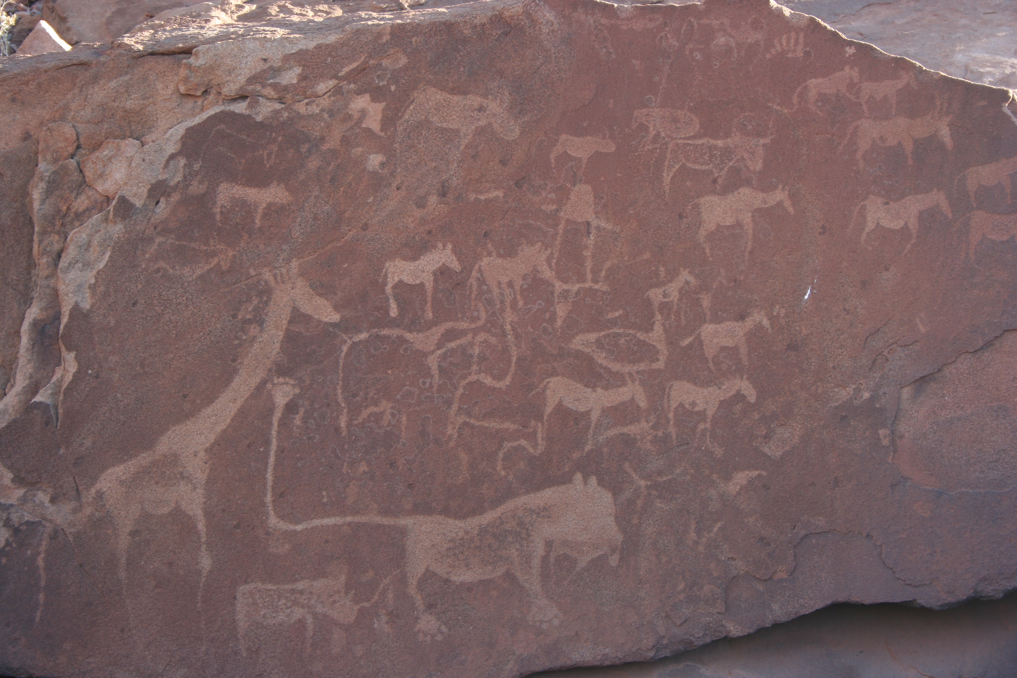 Rock engravings Twyfelfonein.JPG