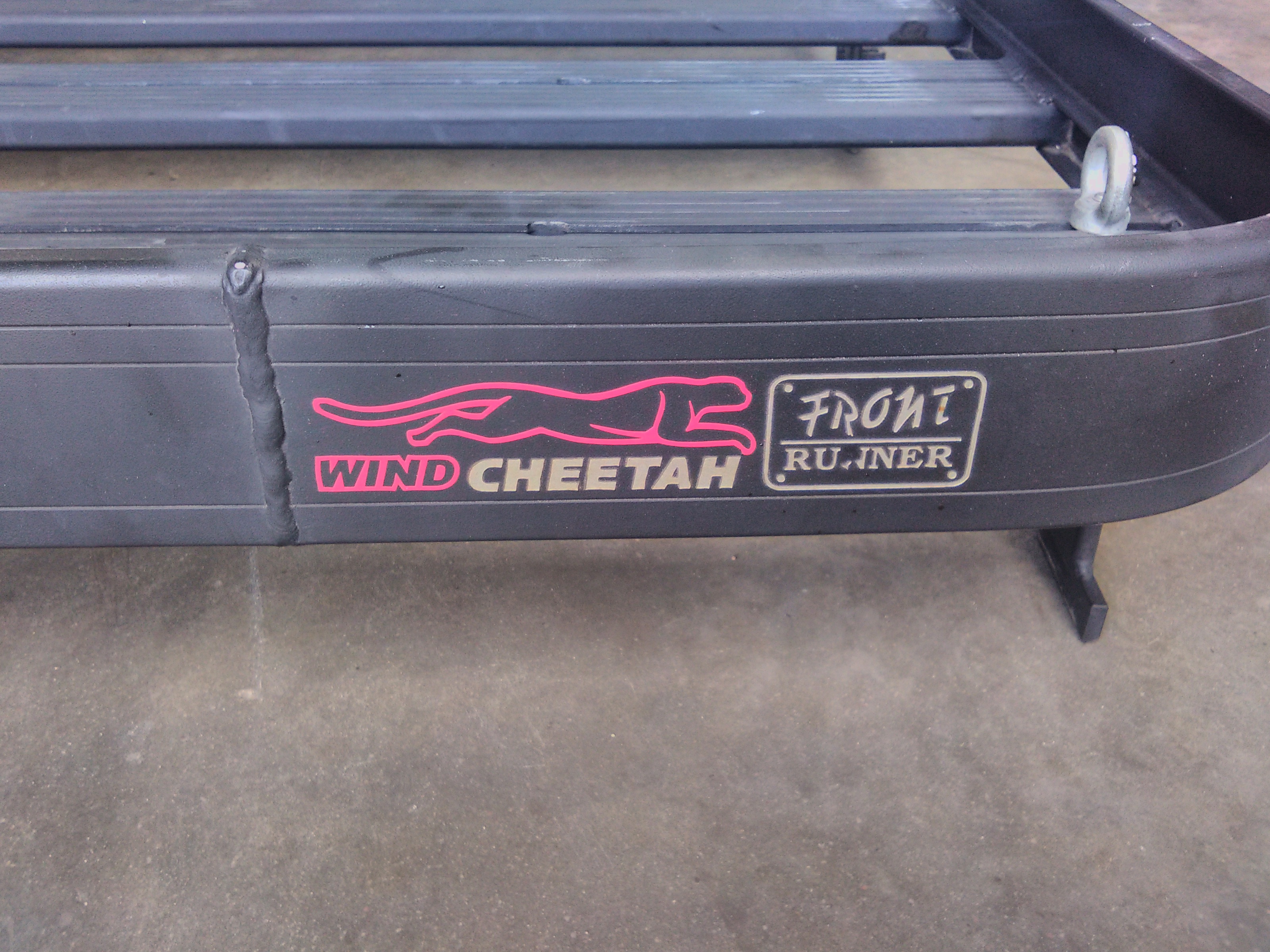 WindCheetah.jpg
