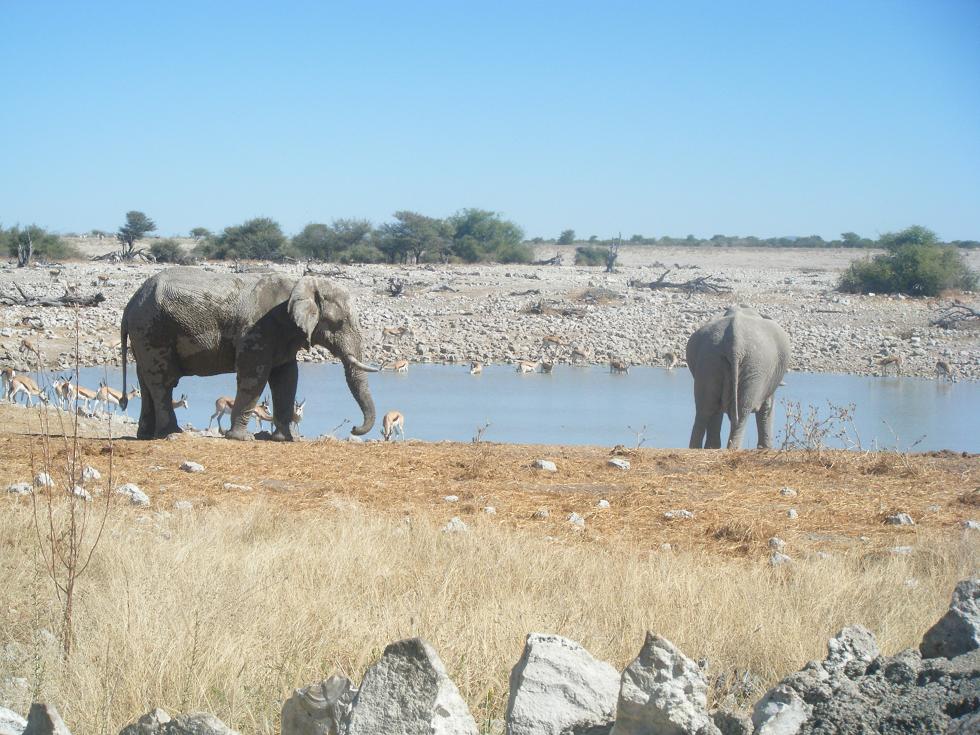 2010-06-23 Waterberge - Etosha (25).JPG