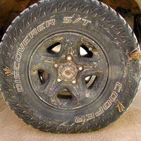 Cooper S/T - Desert Lion Conservation Project
