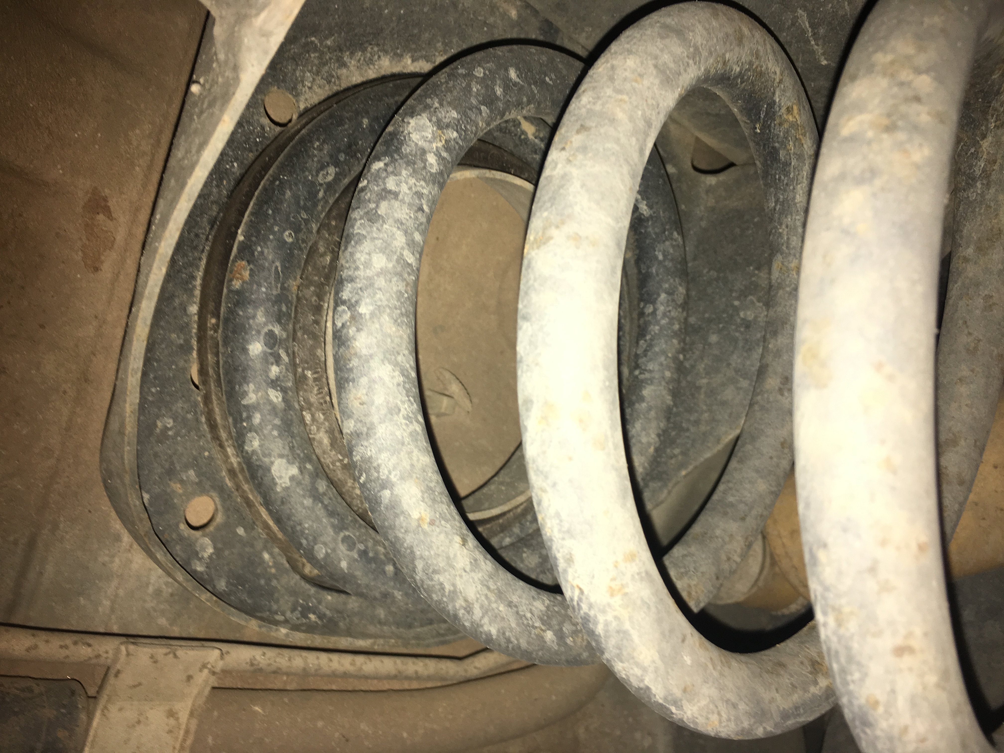 Back Coils