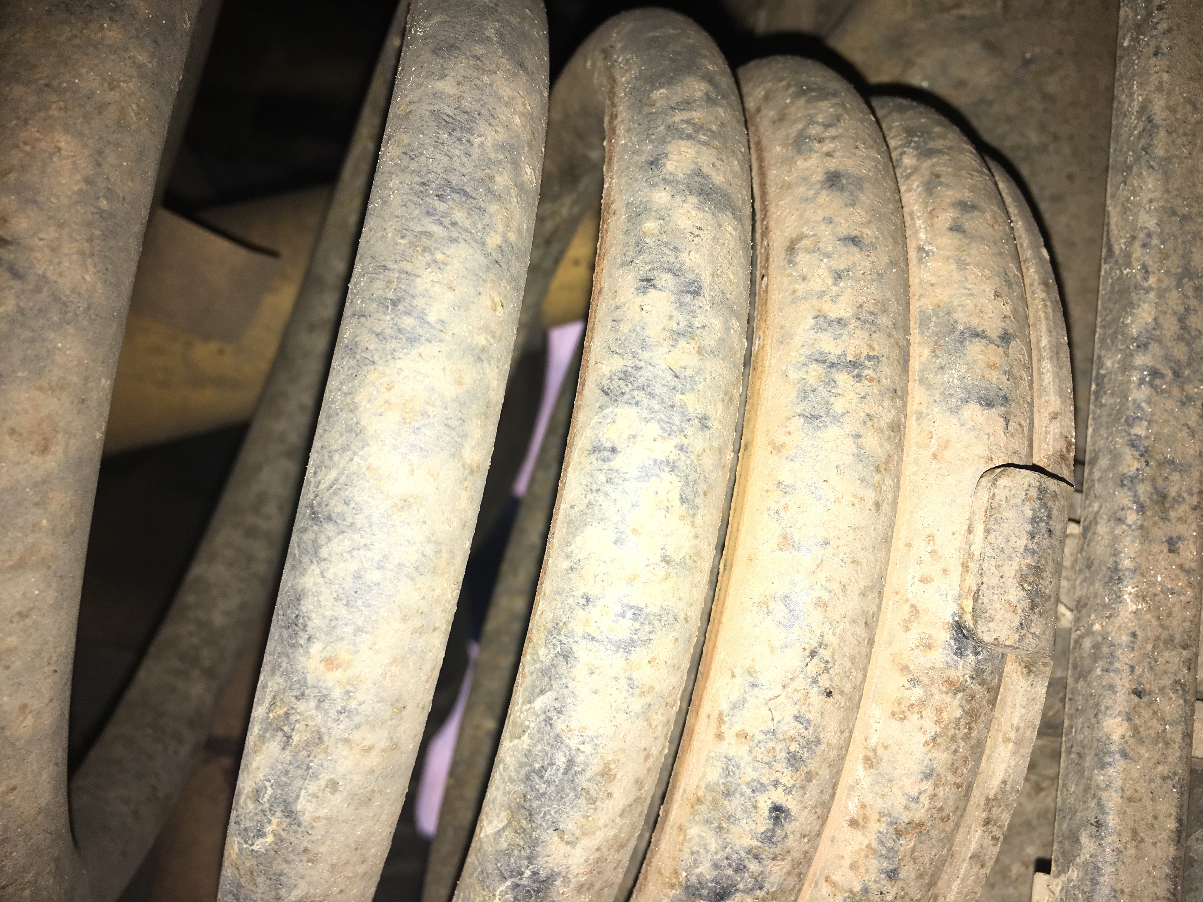back coils