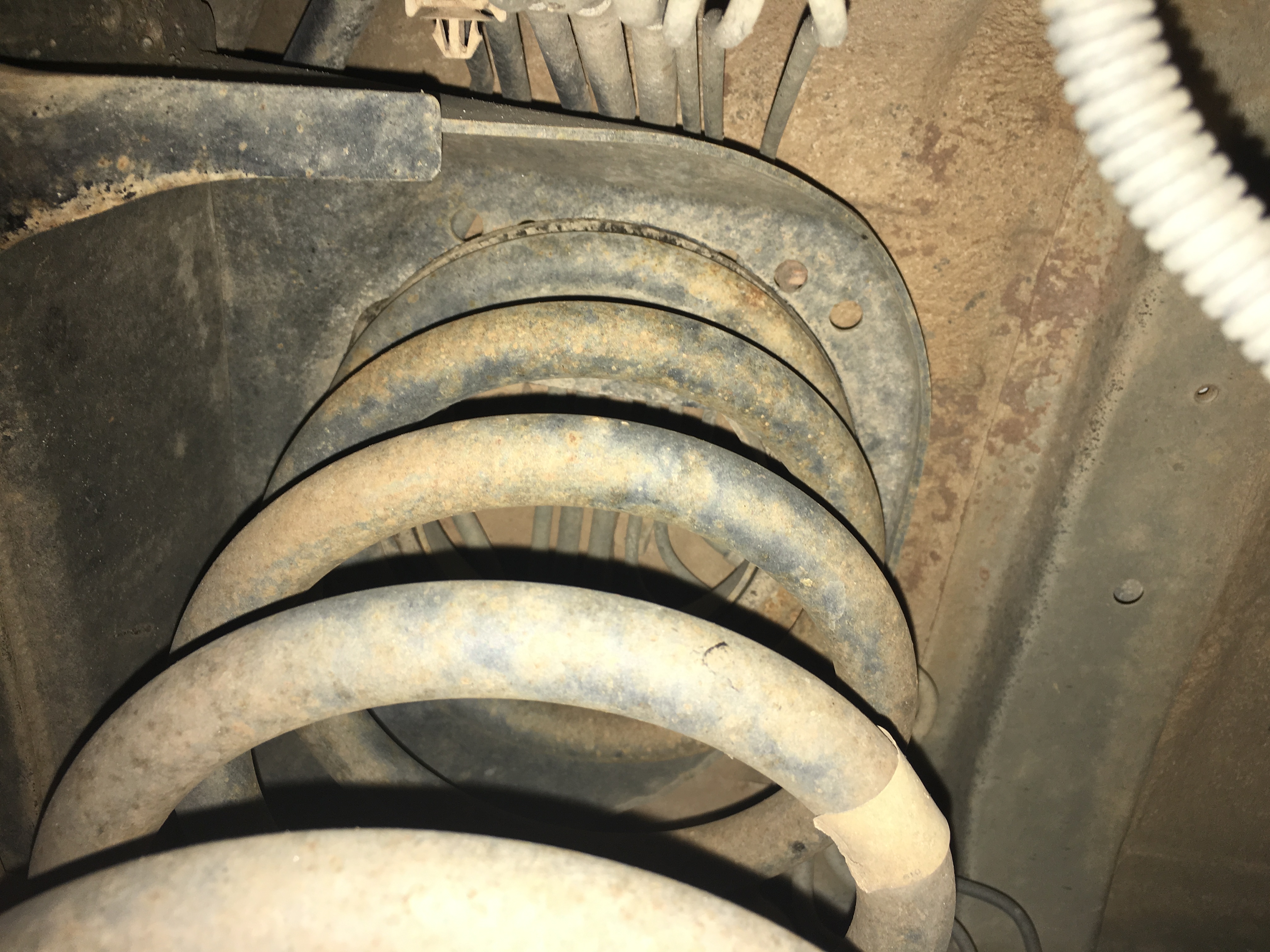 back coils