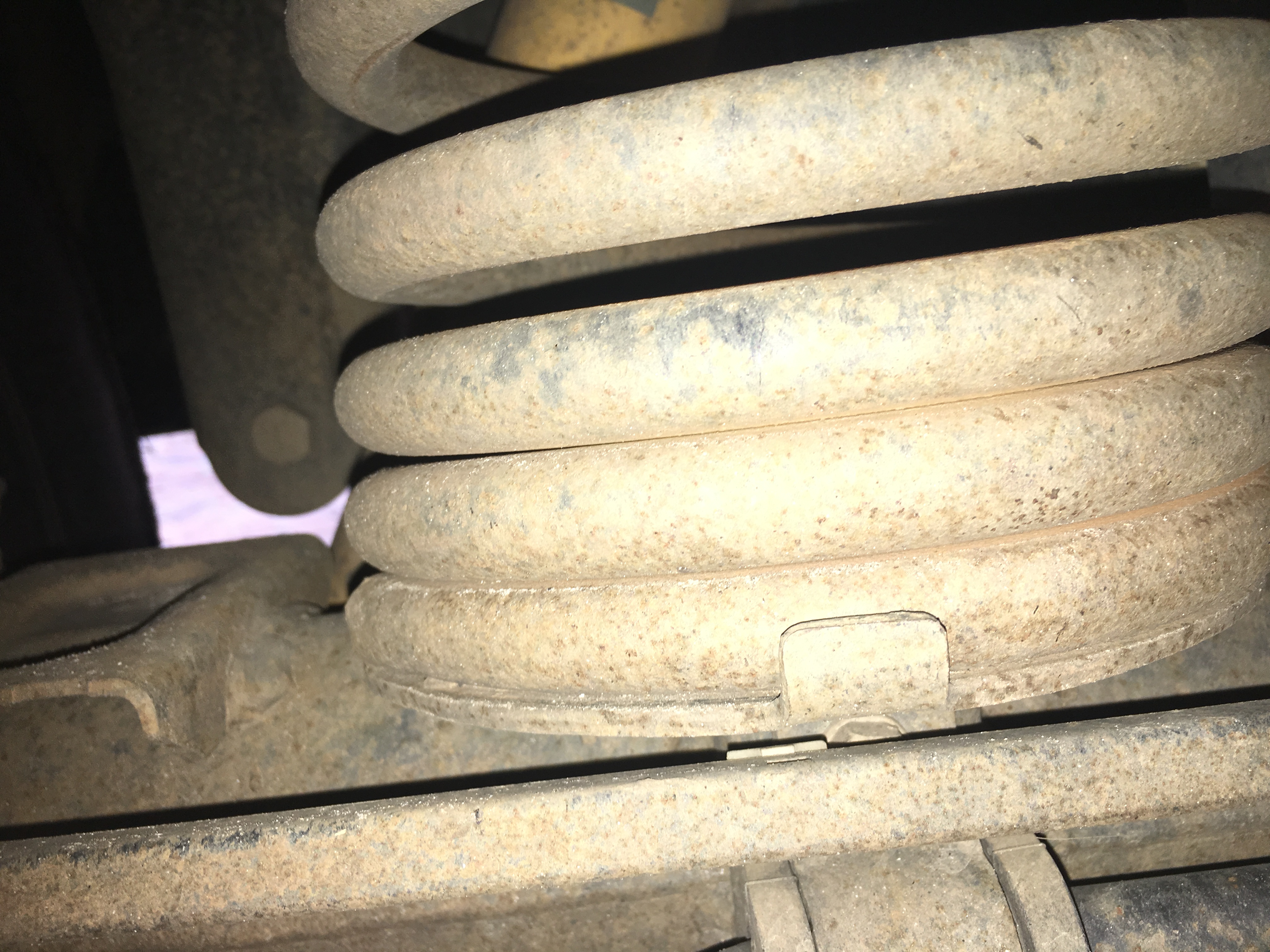 back coils