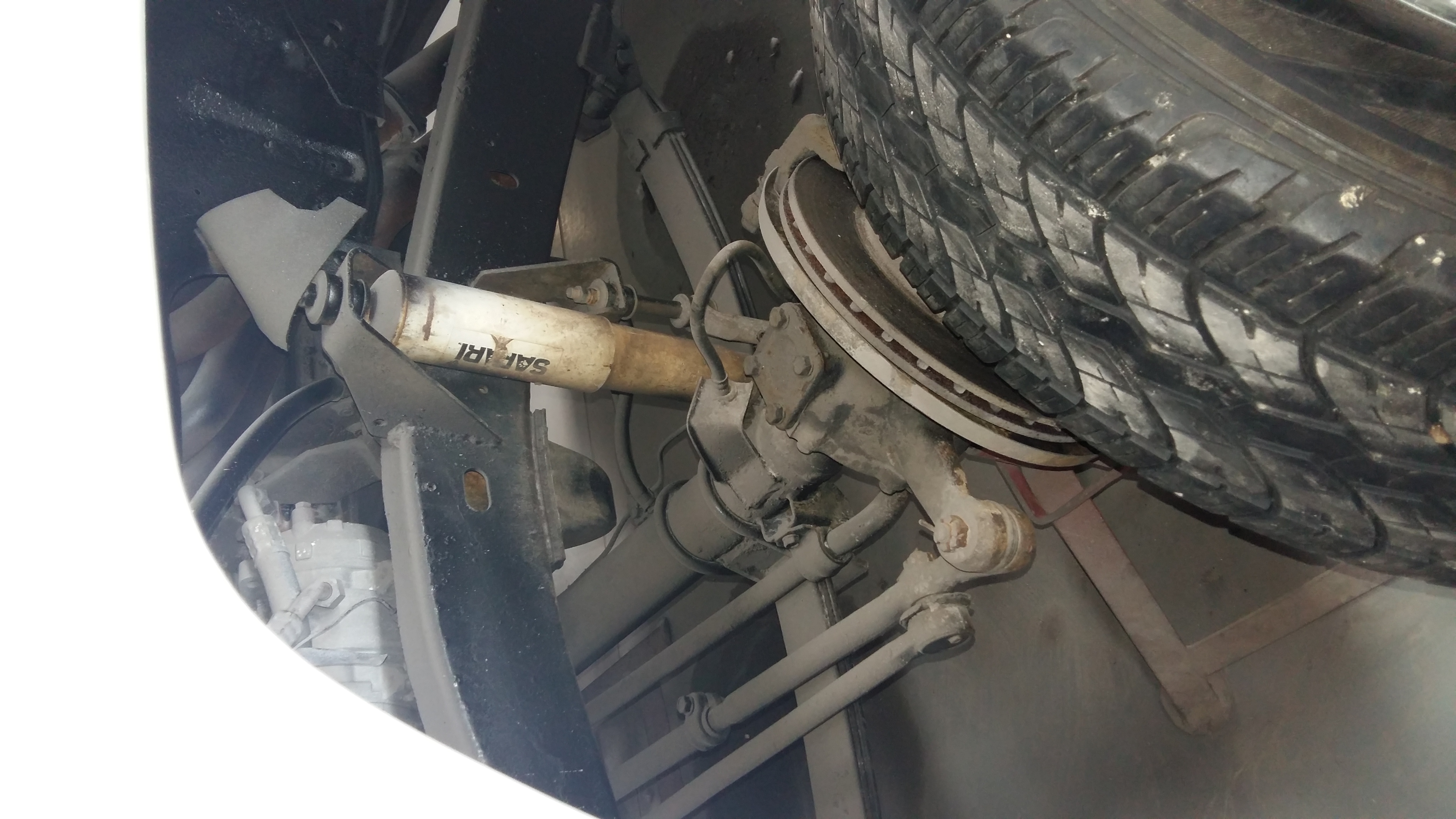 Alas .. he will be needing new shocks ASAP