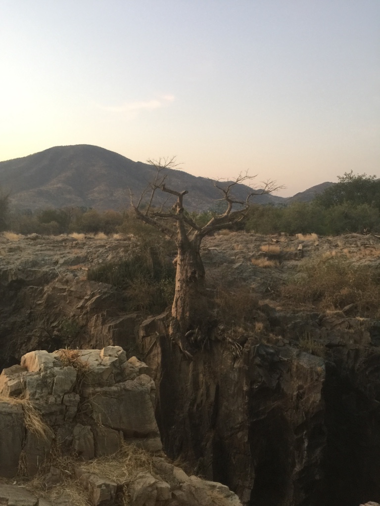 2EpupaFalls_Baobab.jpg