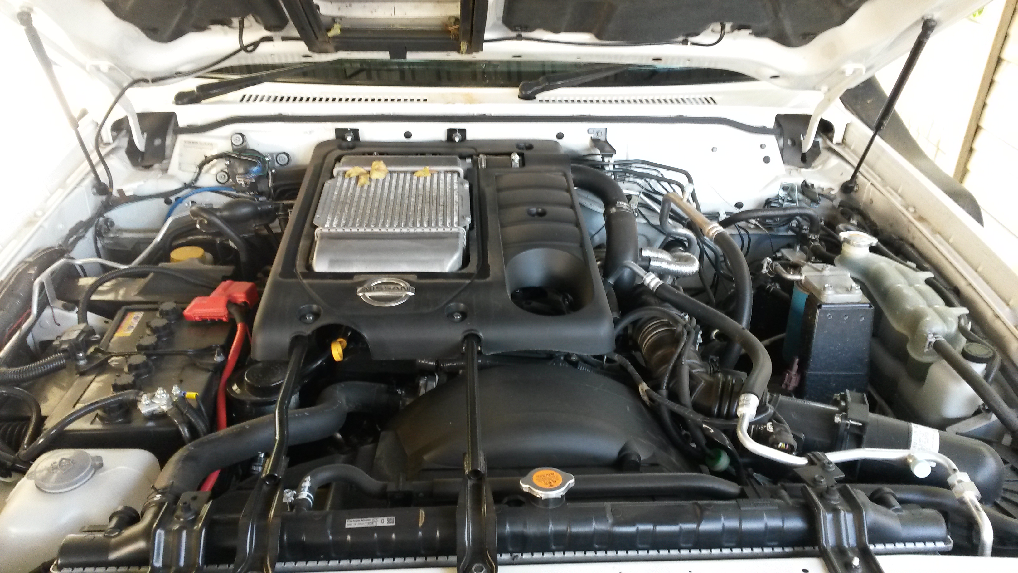 20160527_104228.jpg