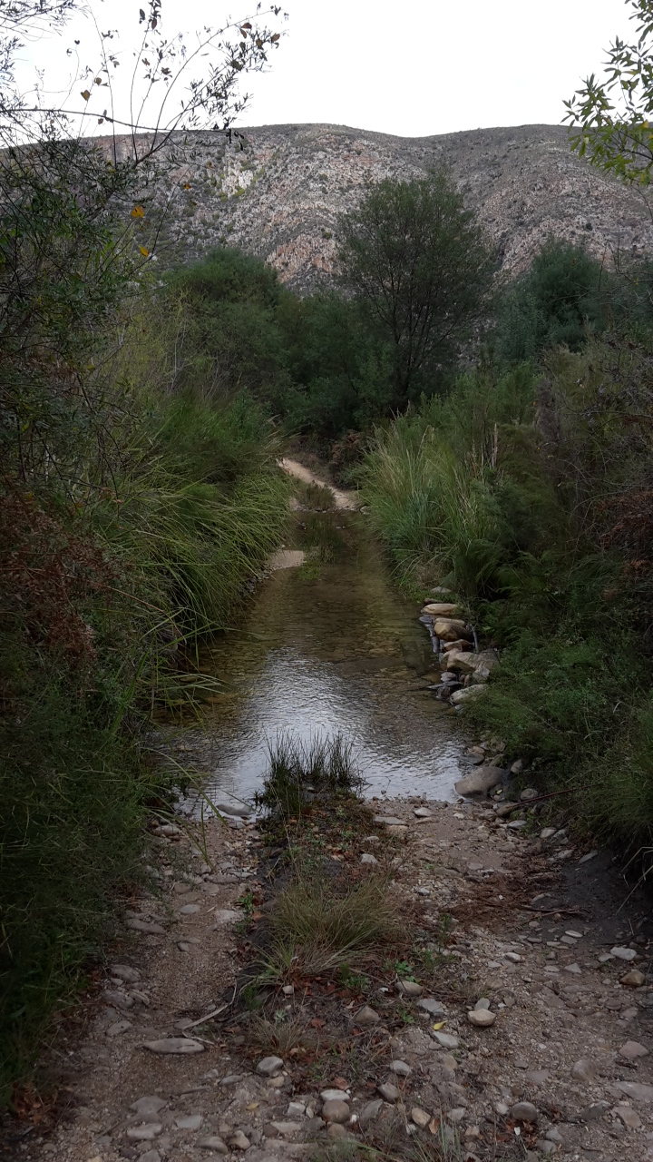 20160813_102505.jpg