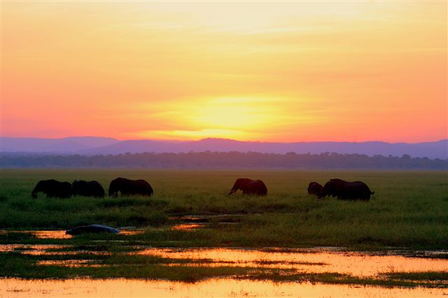 Katavi Sunset.JPG
