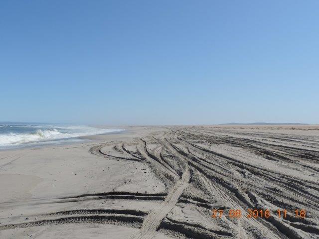DSCN6117.jpg