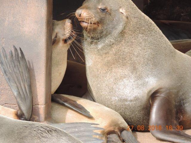 DSCN6138.jpg
