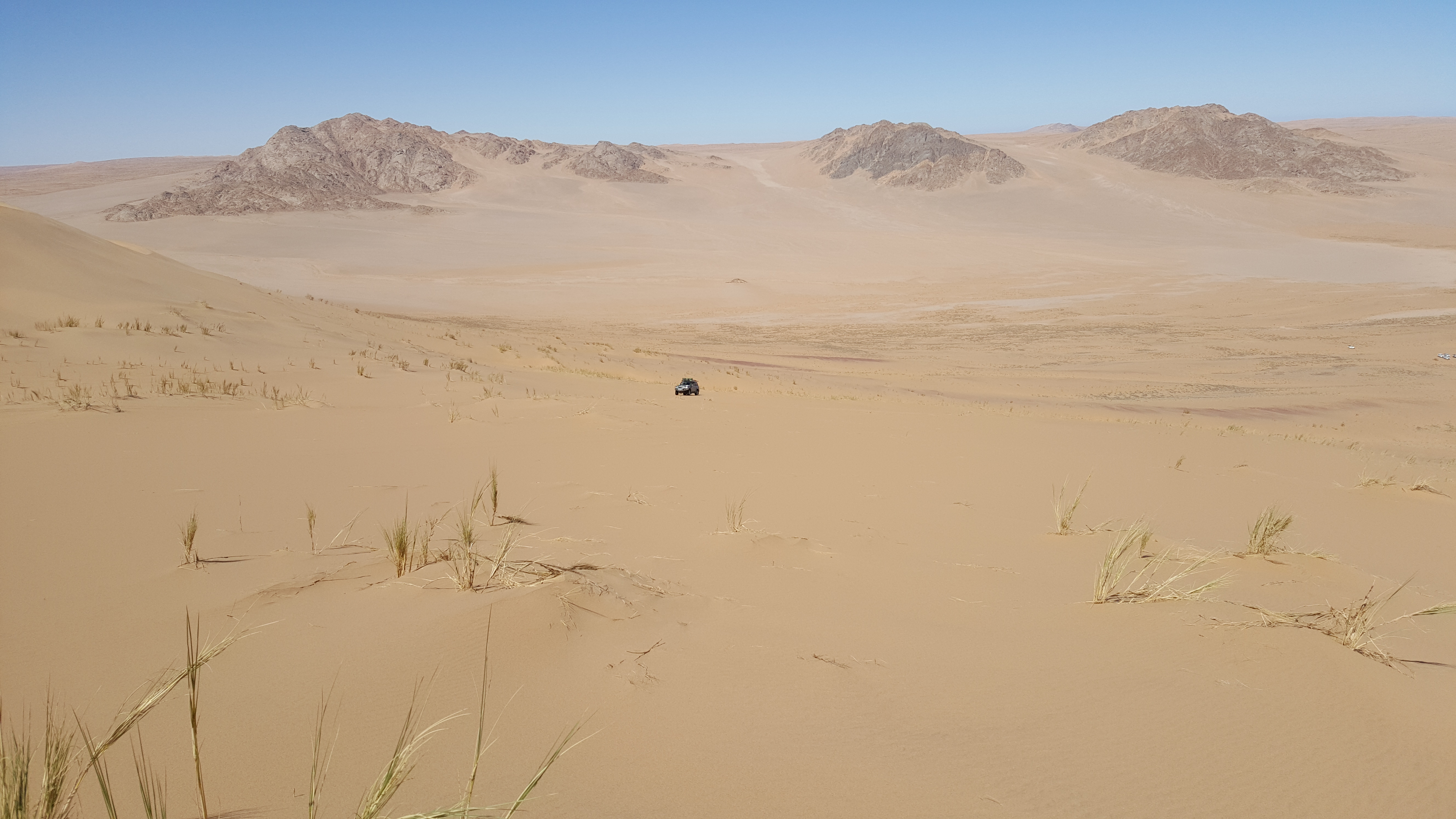 Buffel making his way up...