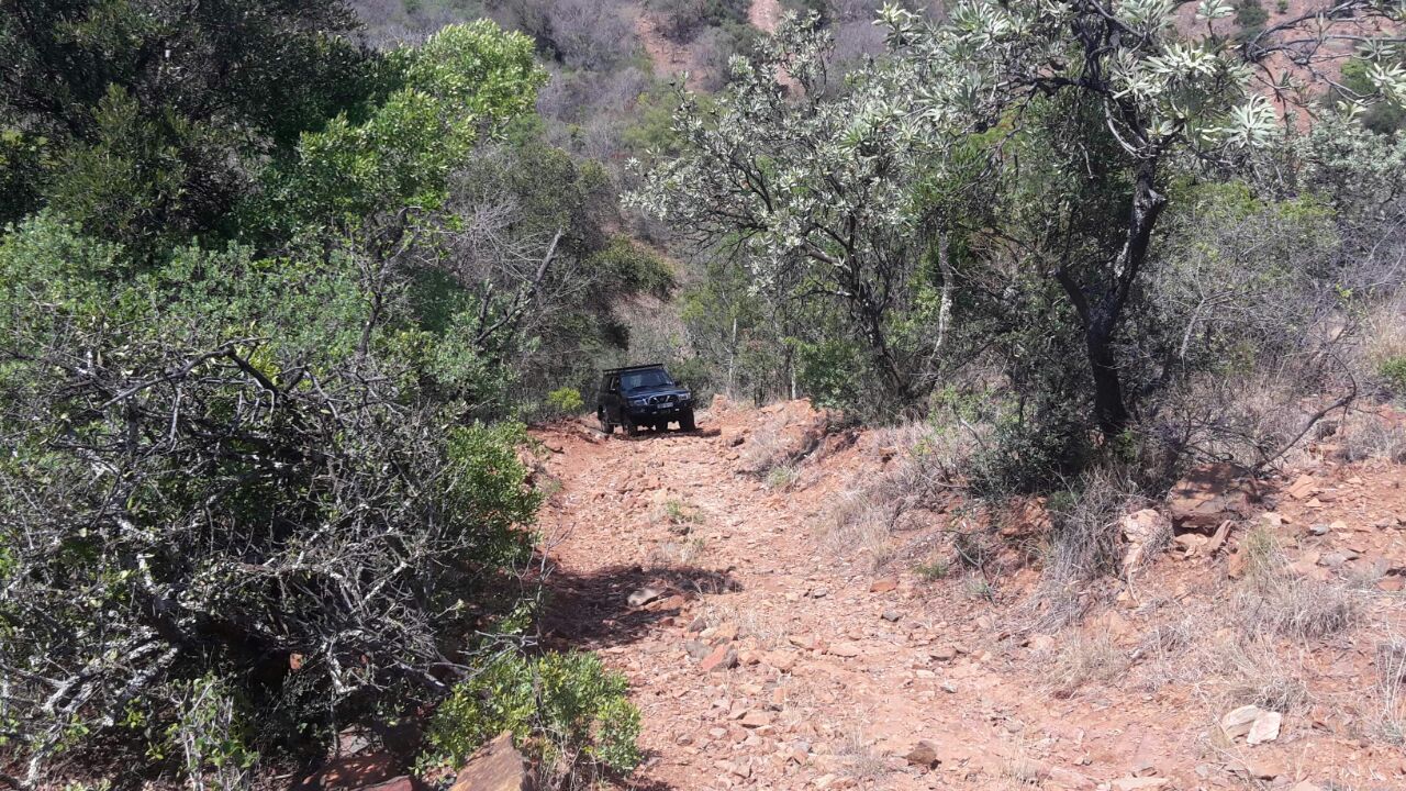 IMG-20161022-WA0004.jpg