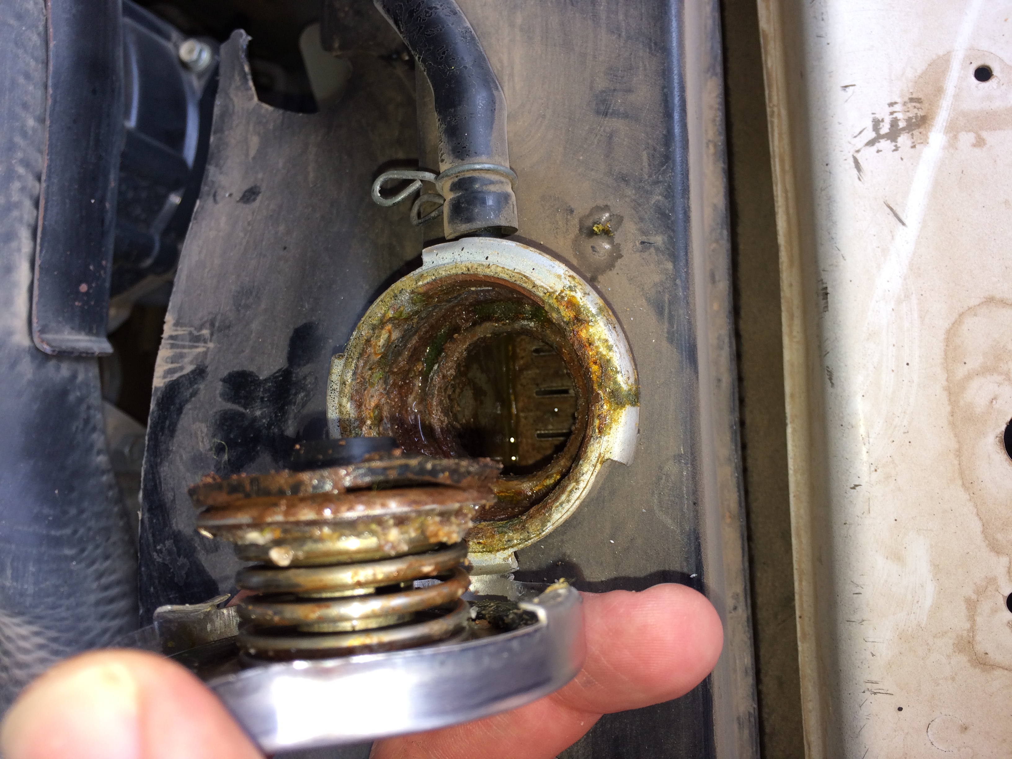 Greasy radiator cap and inner