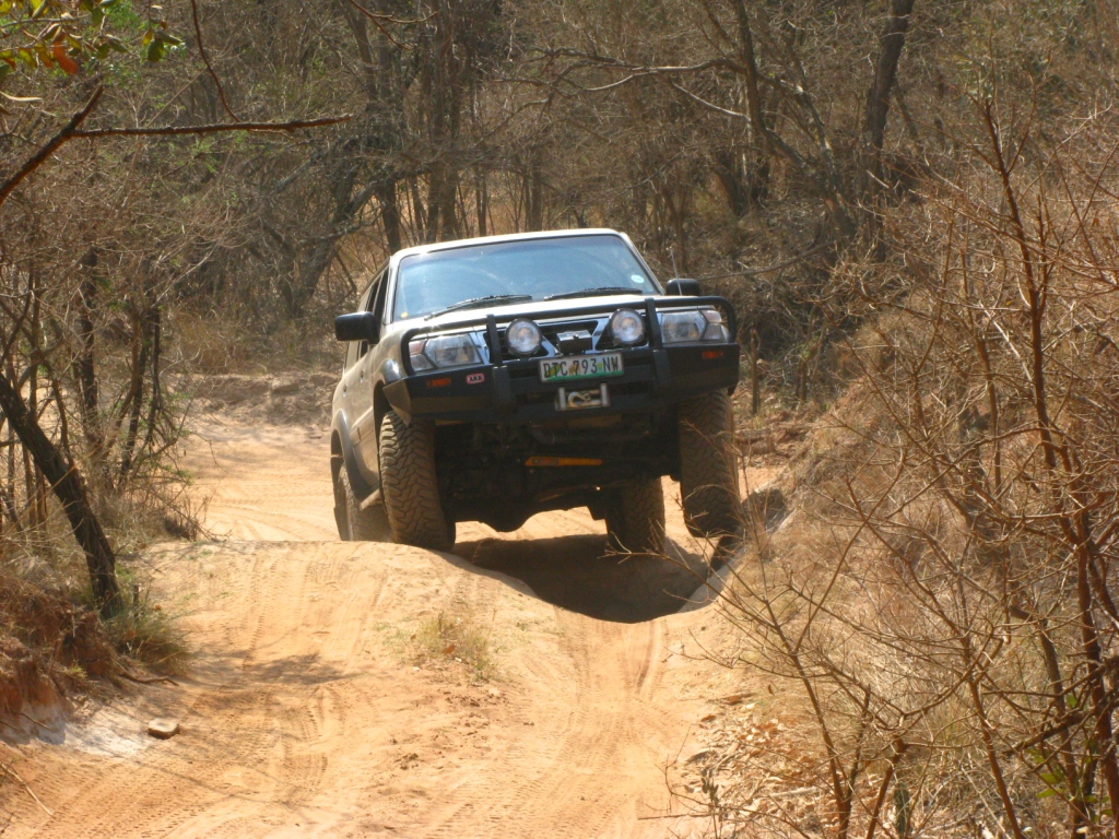 DeWildt 086.jpg