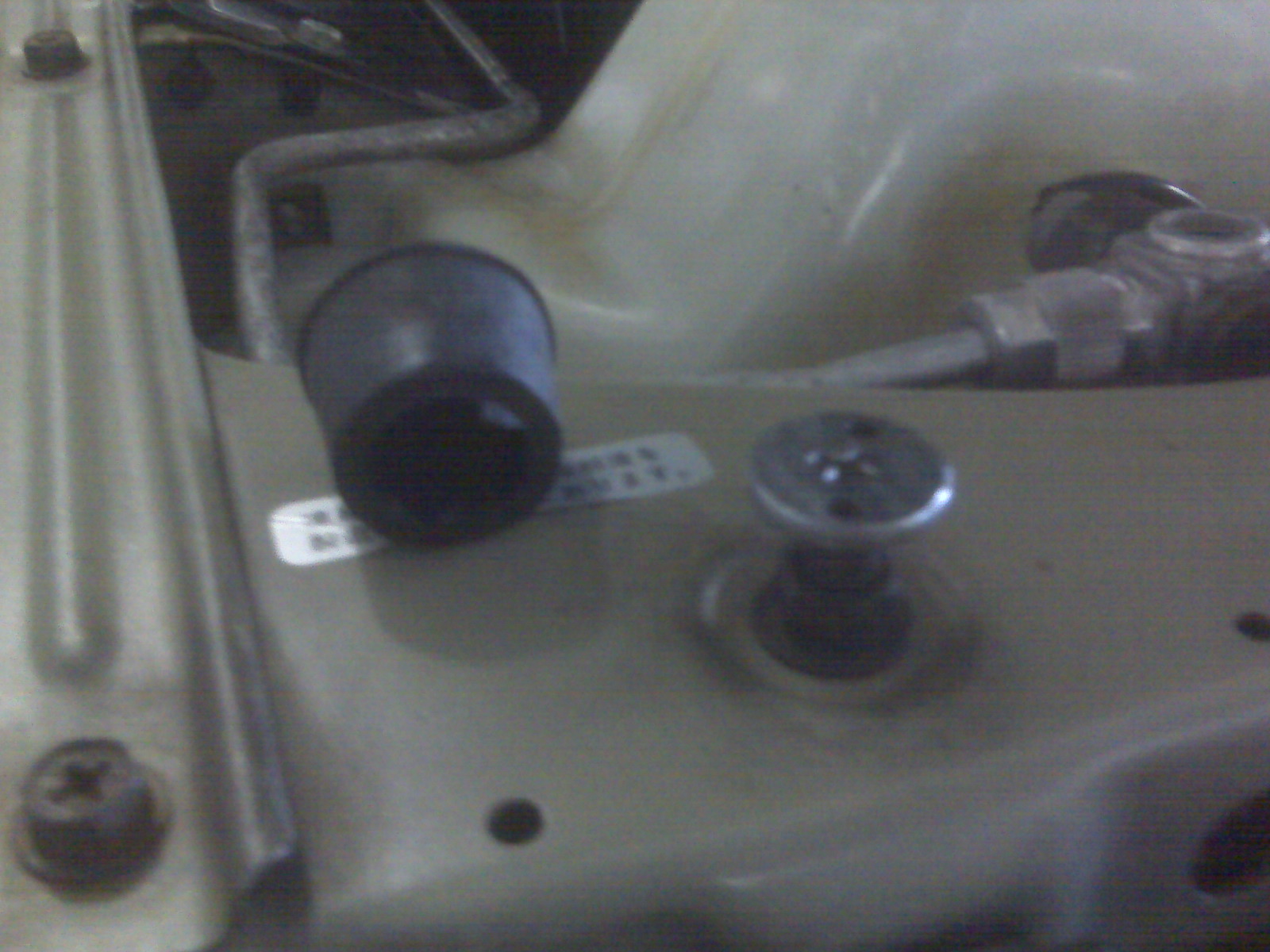 IMG00308.jpg