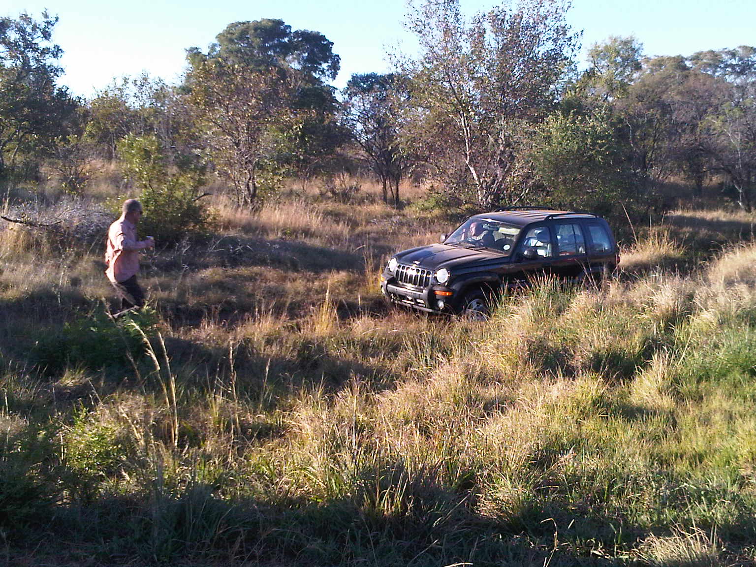 IMG00215-20100616-1606.jpg