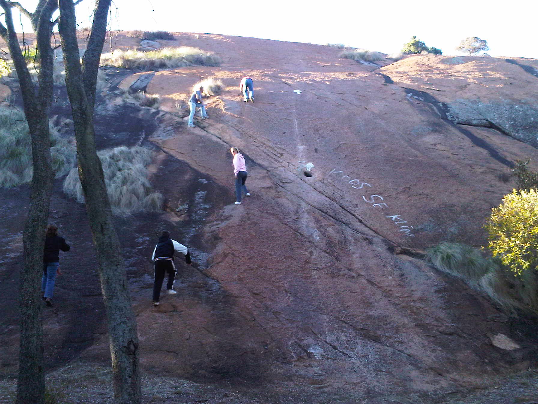 IMG00216-20100616-1622.jpg