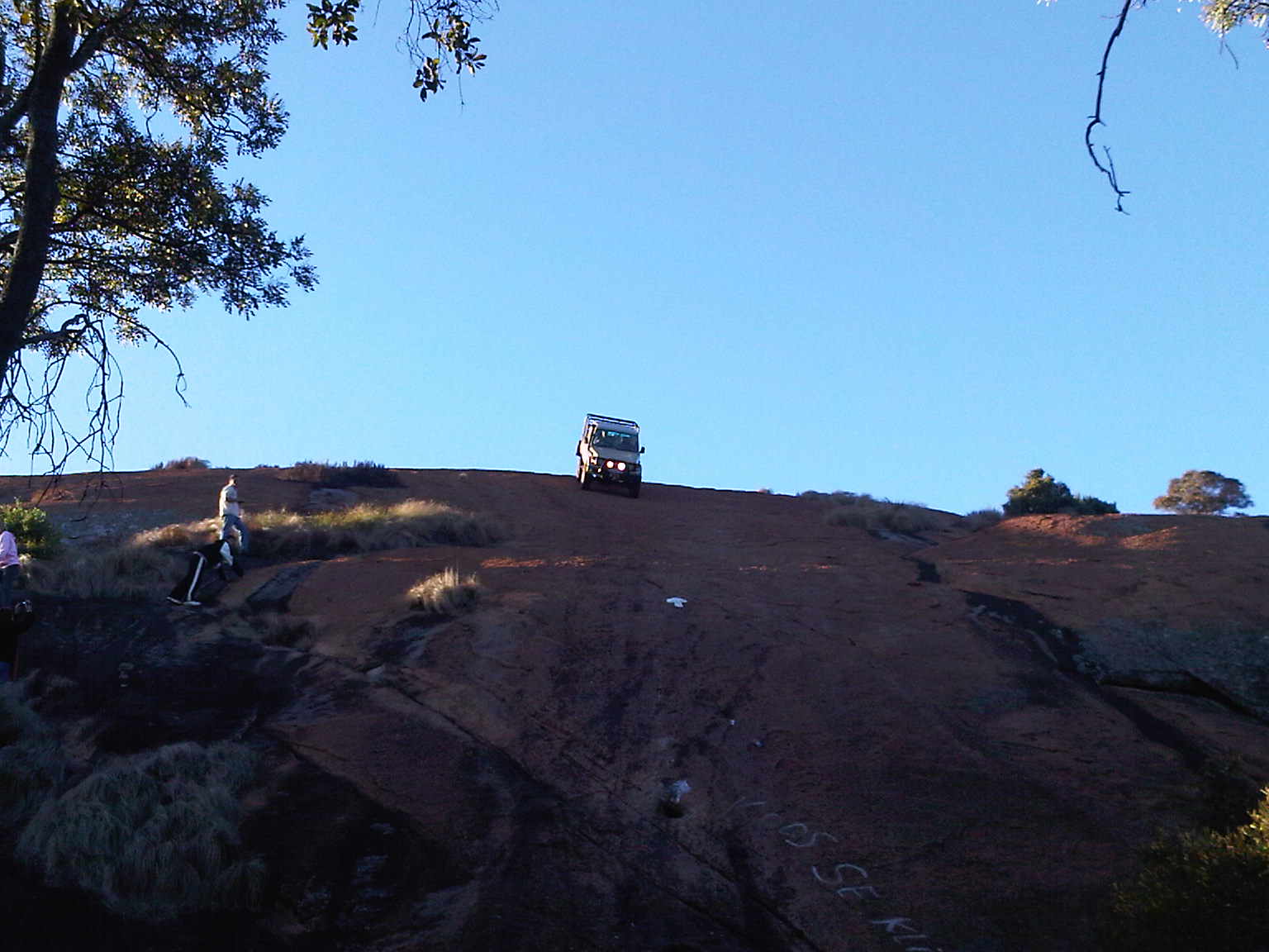 IMG00219-20100616-1636.jpg