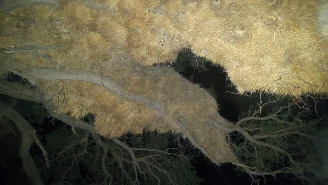 20161227_215641.jpg