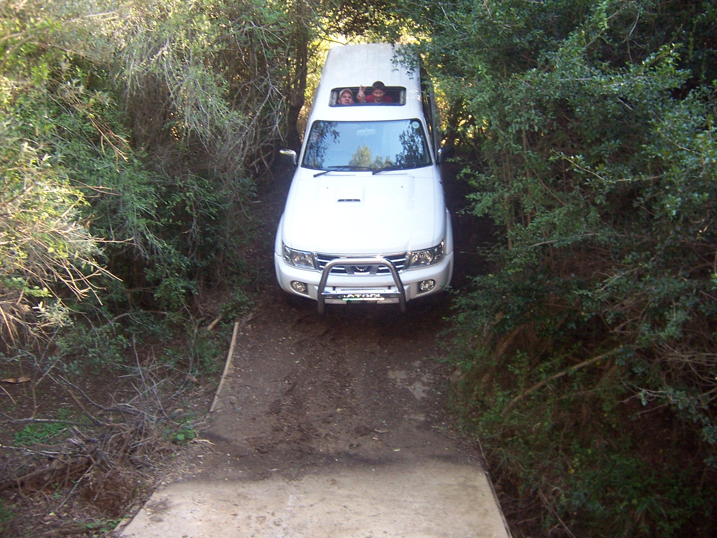Going down...all the way