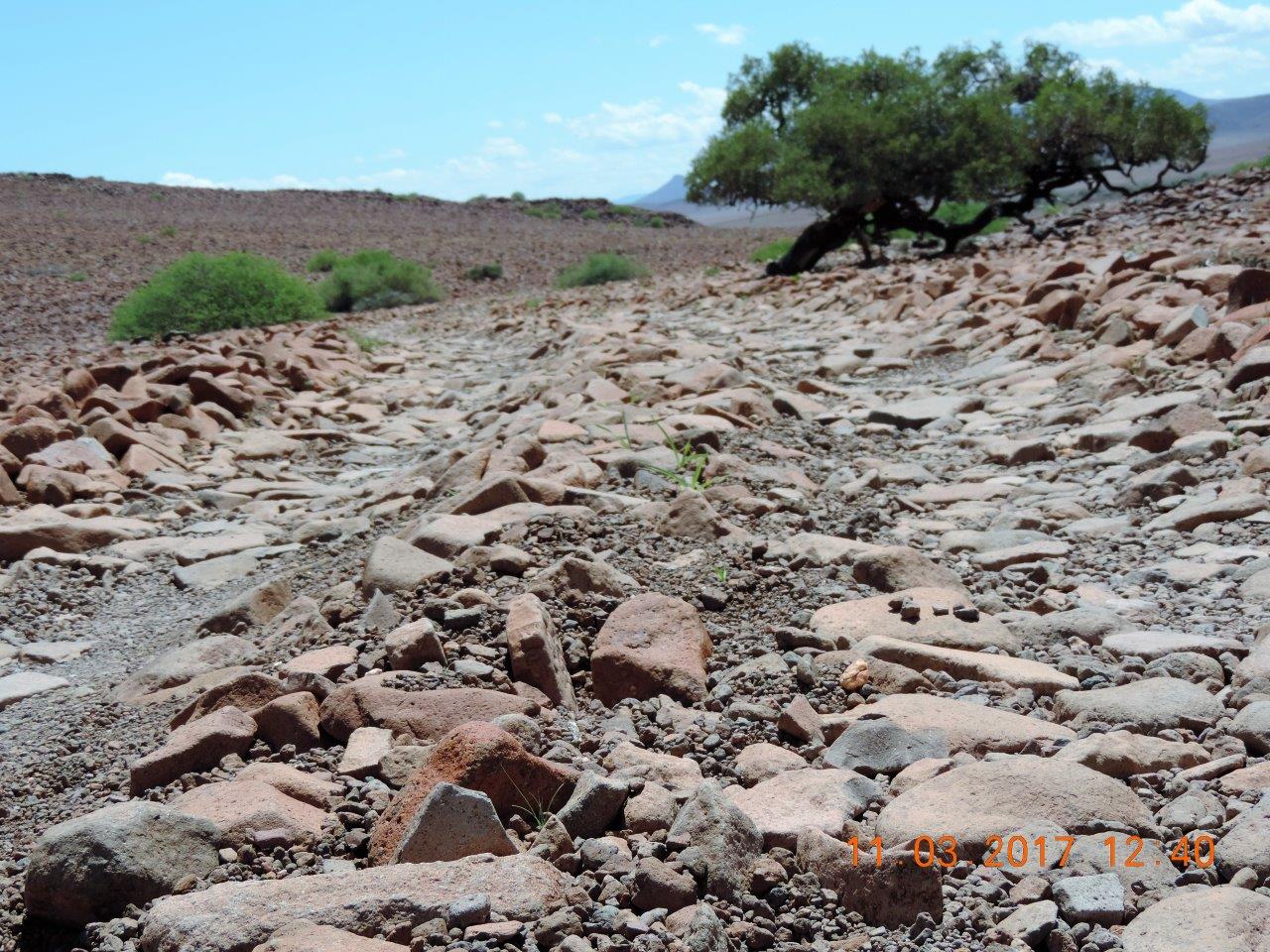 DSCN6818.jpg