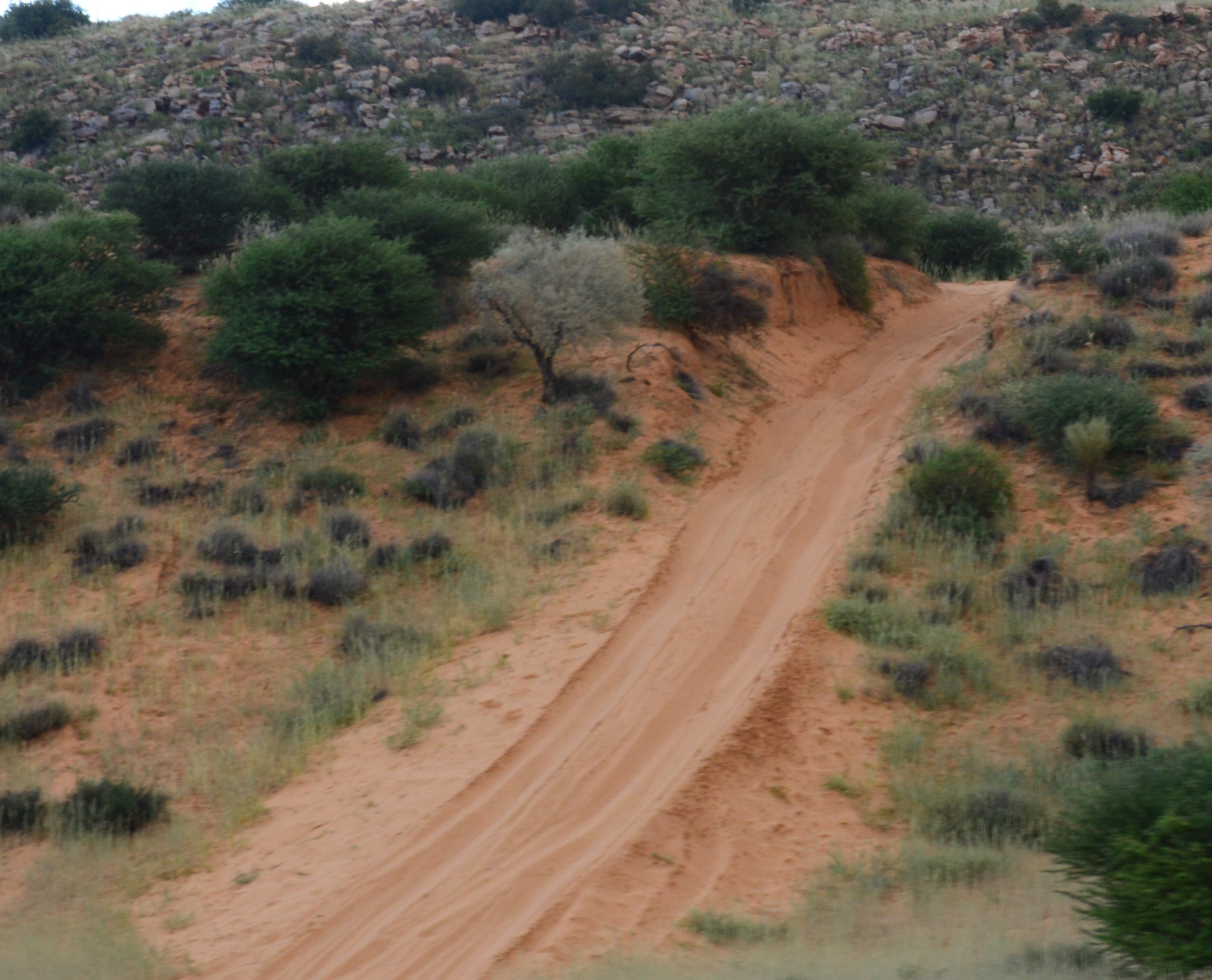 terug by die begin, party braai net daar, ander gaan terug na die kampterrein