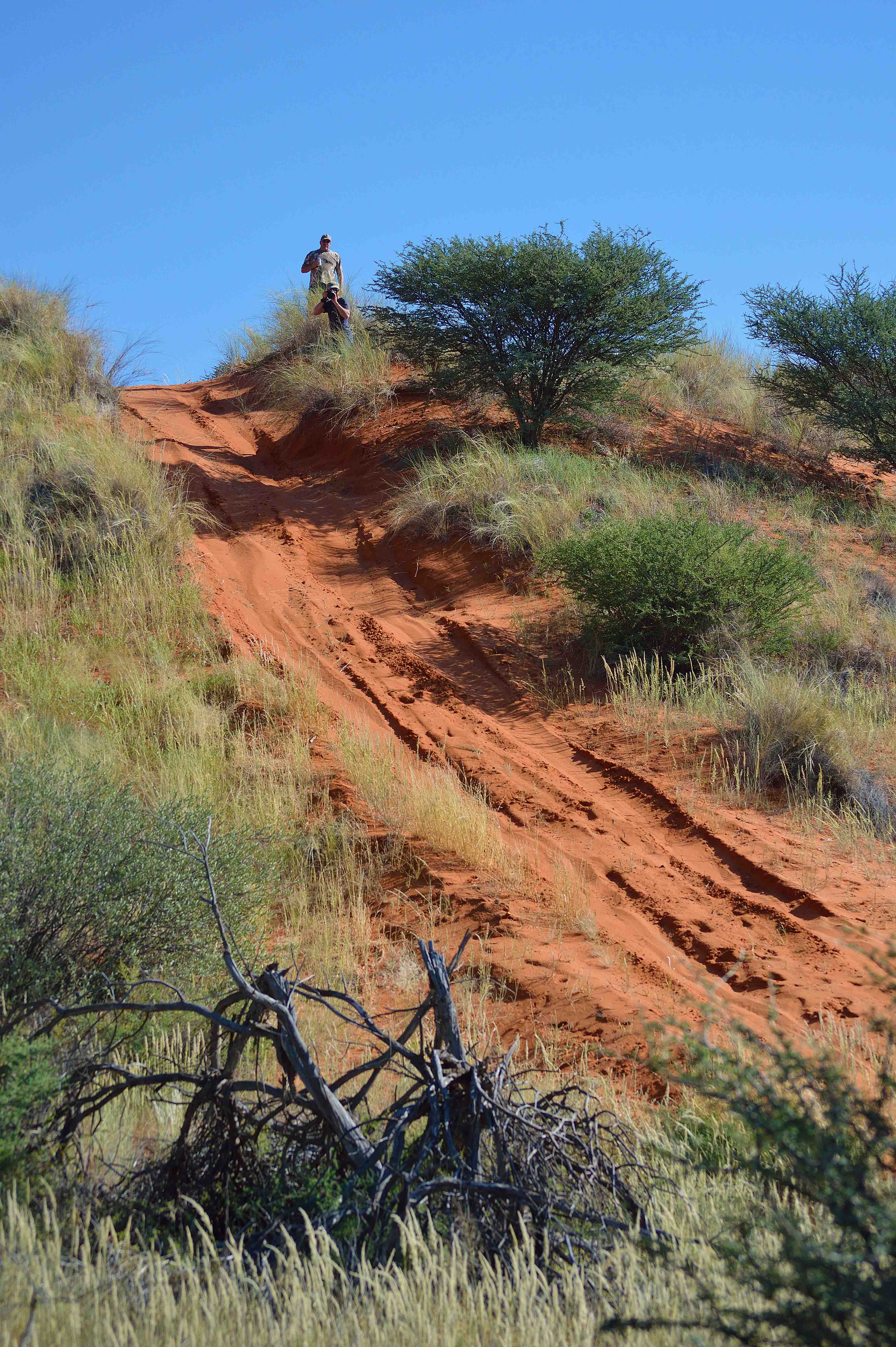Uphill.jpg