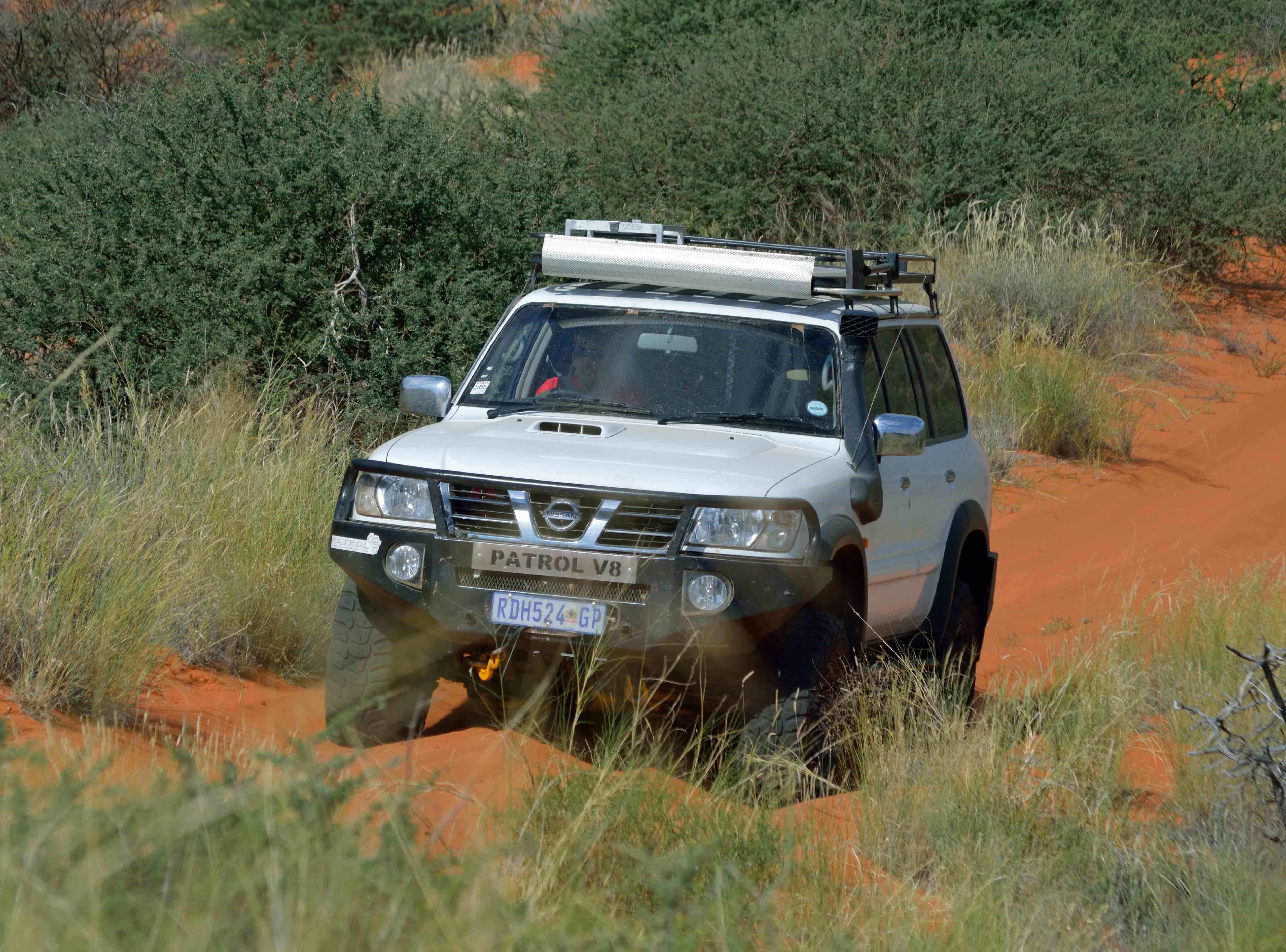 DSC_0607low.jpg