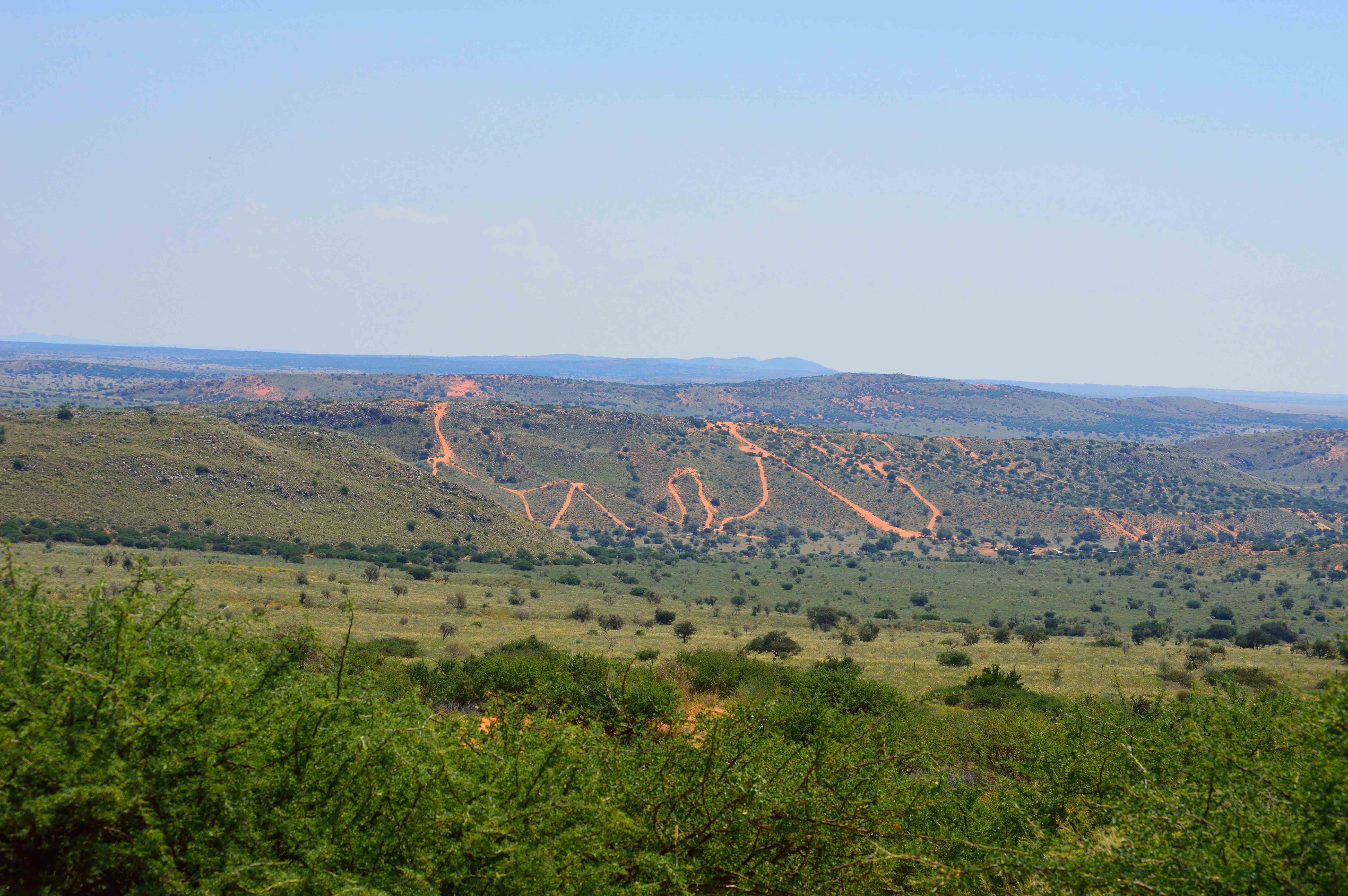 Karoo Zigzag.jpg
